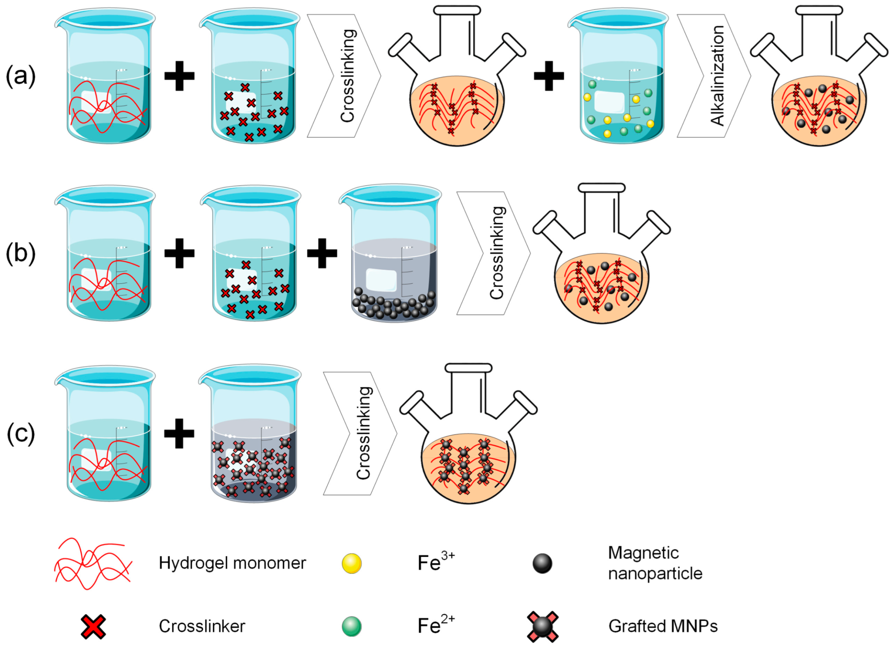 Jfb 16 00414 g002 Jfb 16 00414 g002