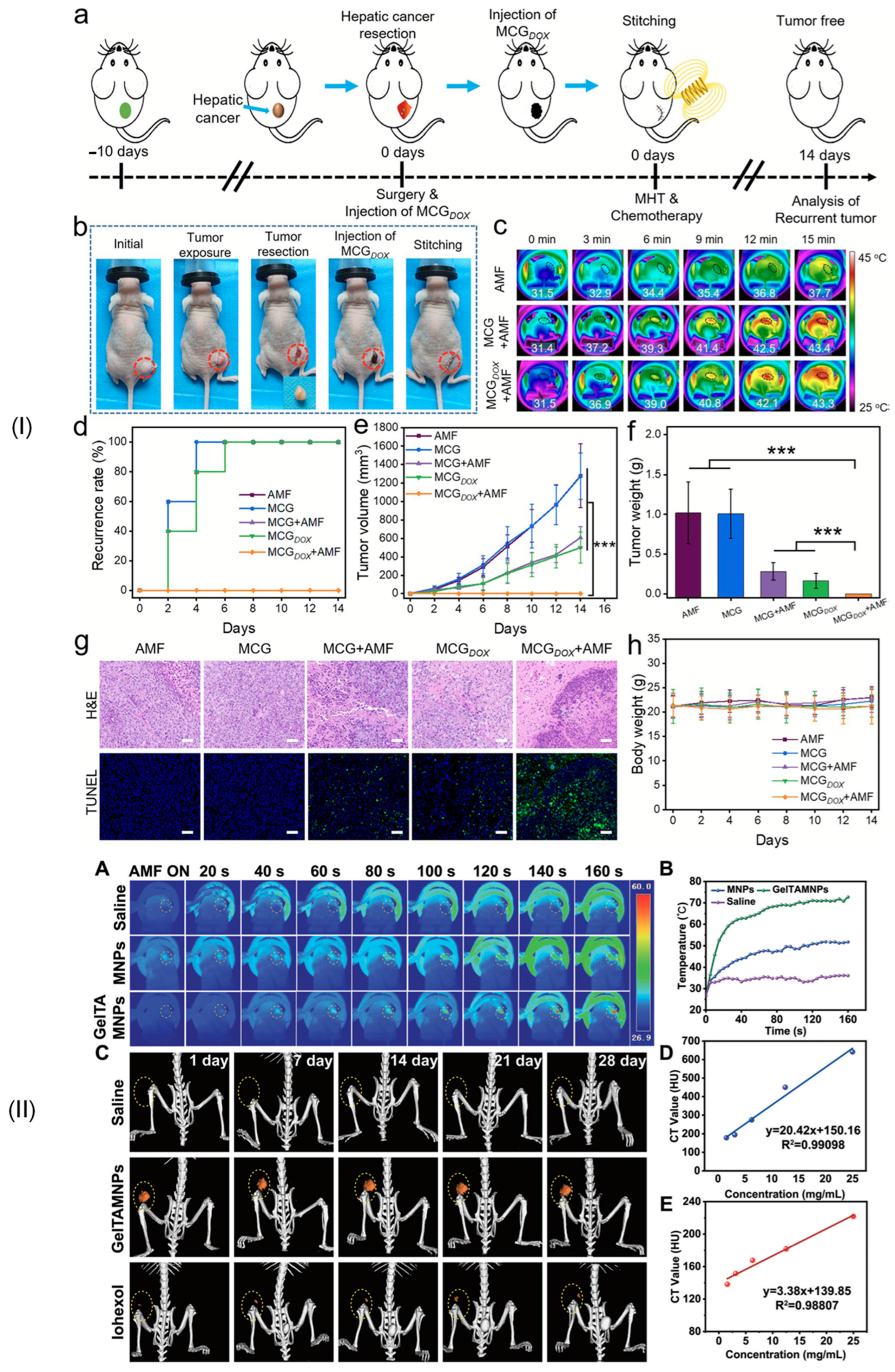 Jfb 16 00414 g006 Jfb 16 00414 g006