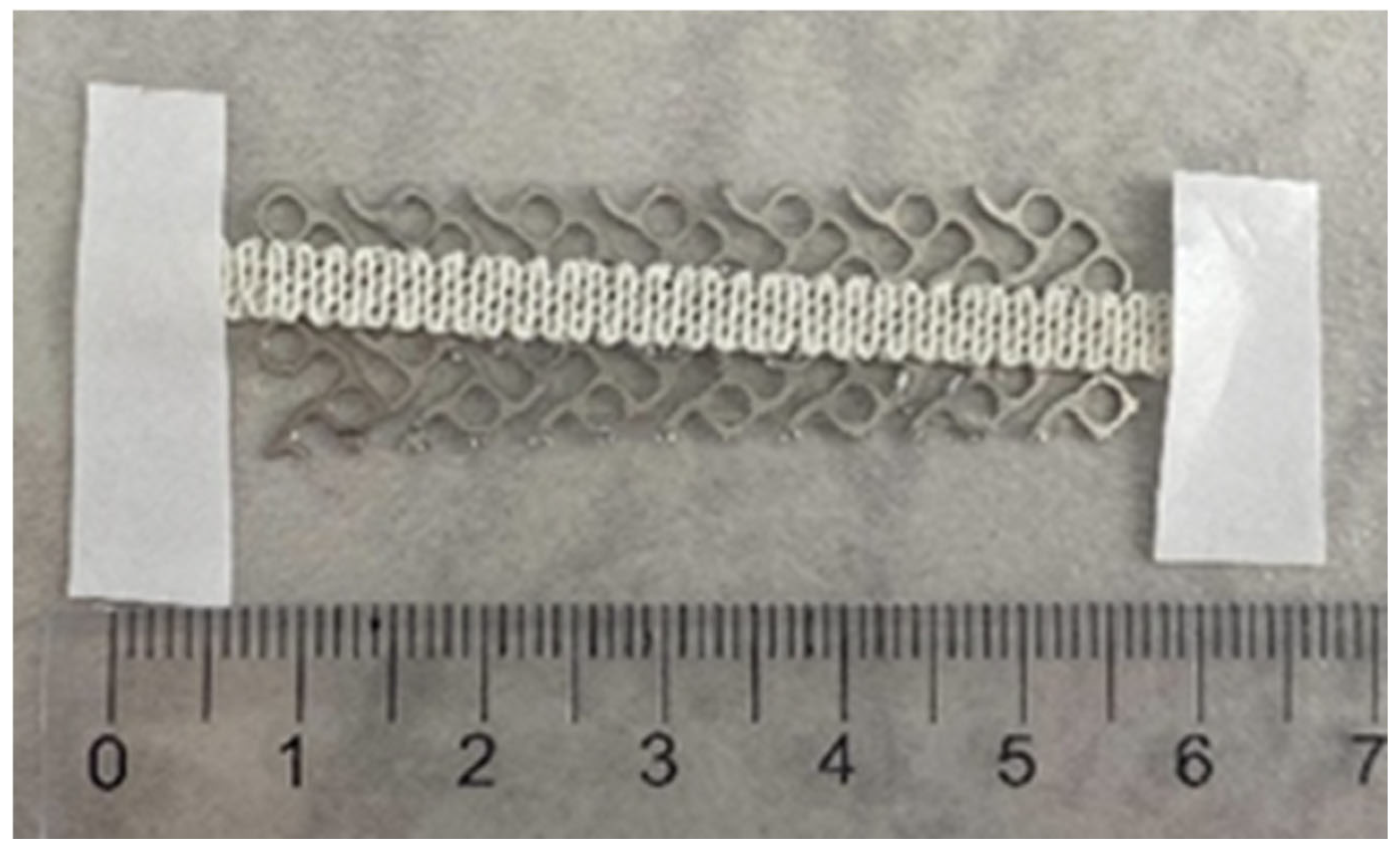 Jfb 16 00430 g002 Jfb 16 00430 g002