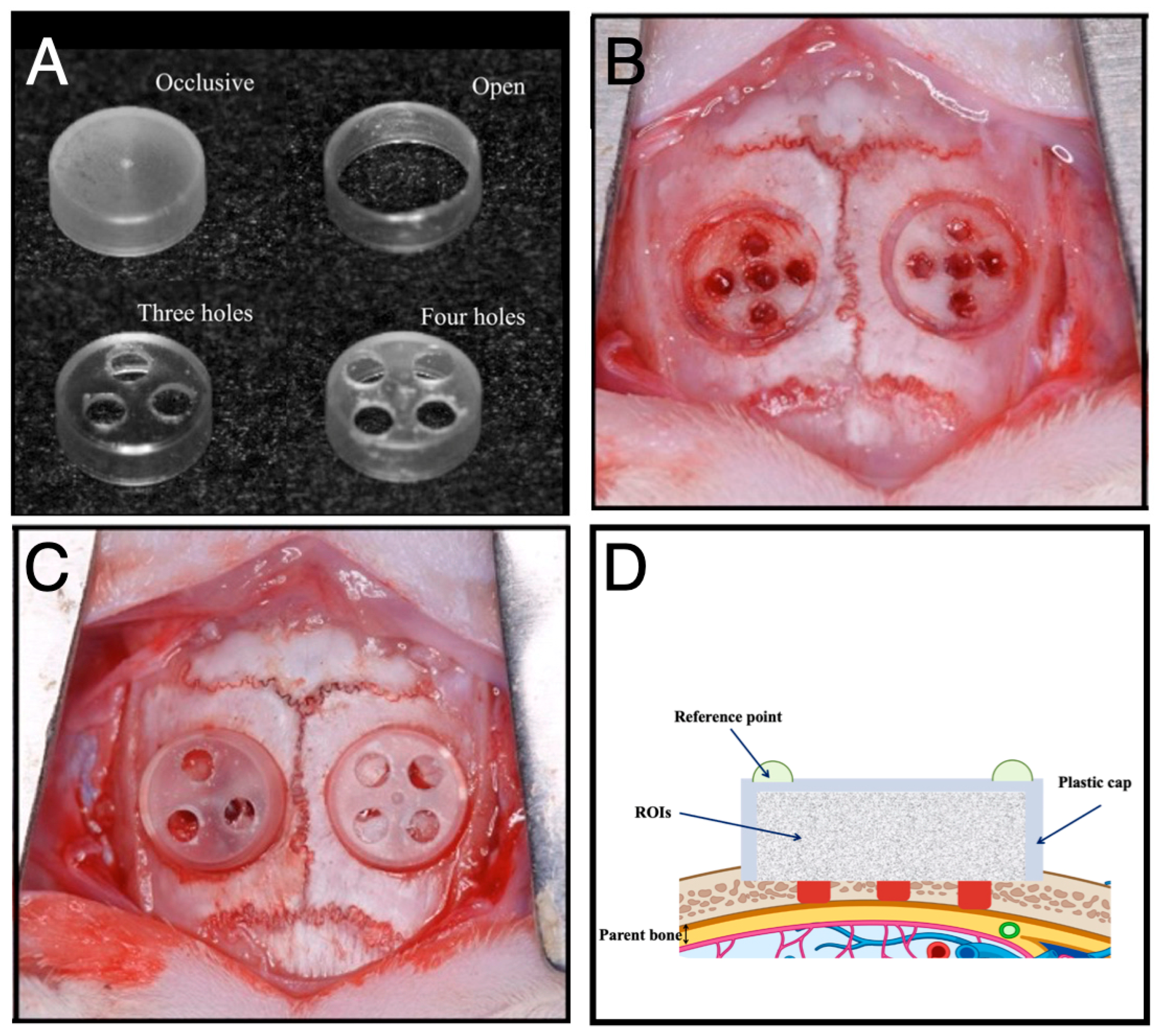 Jfb 16 00438 g001 Jfb 16 00438 g001