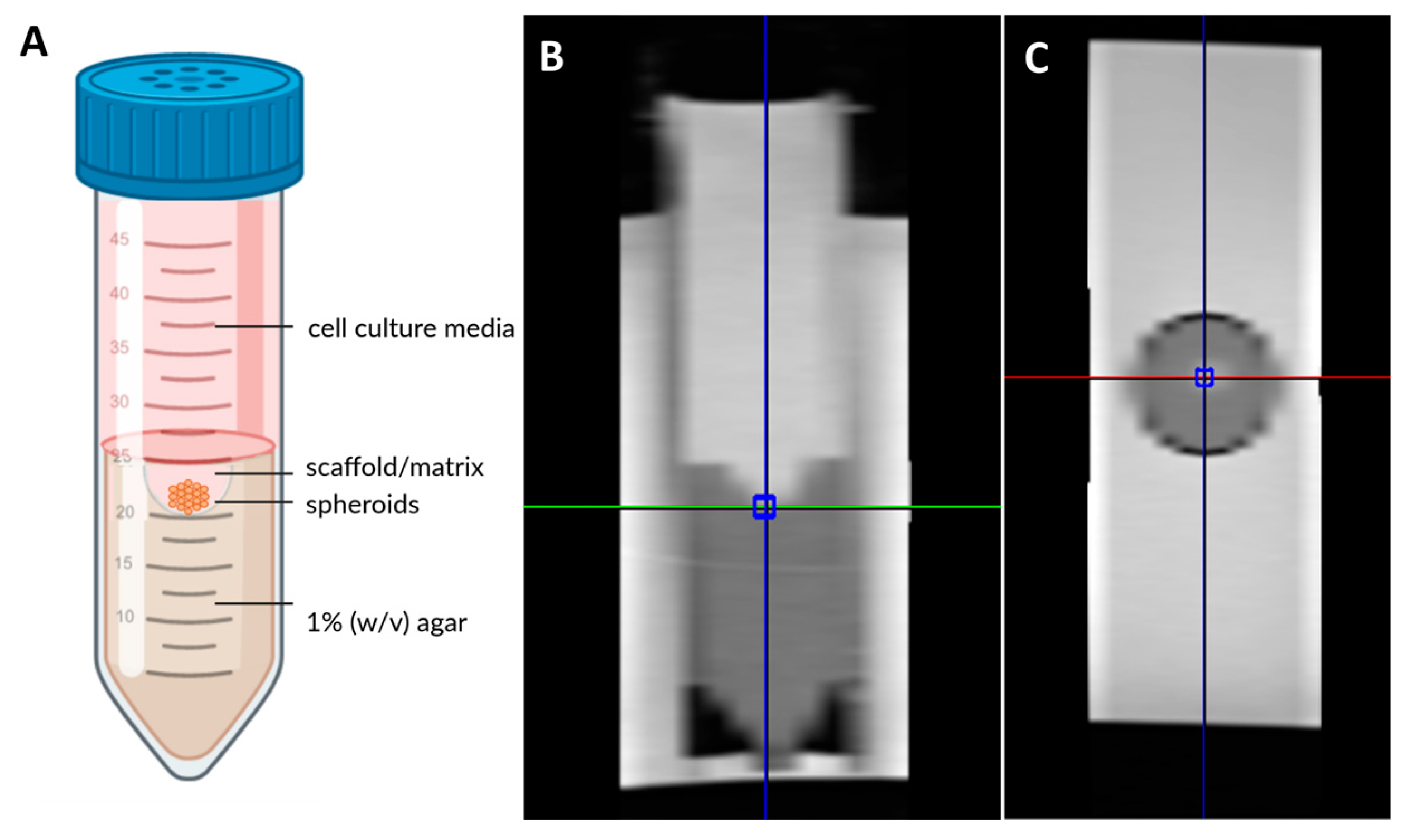 Jfb 16 00440 g001 Jfb 16 00440 g001