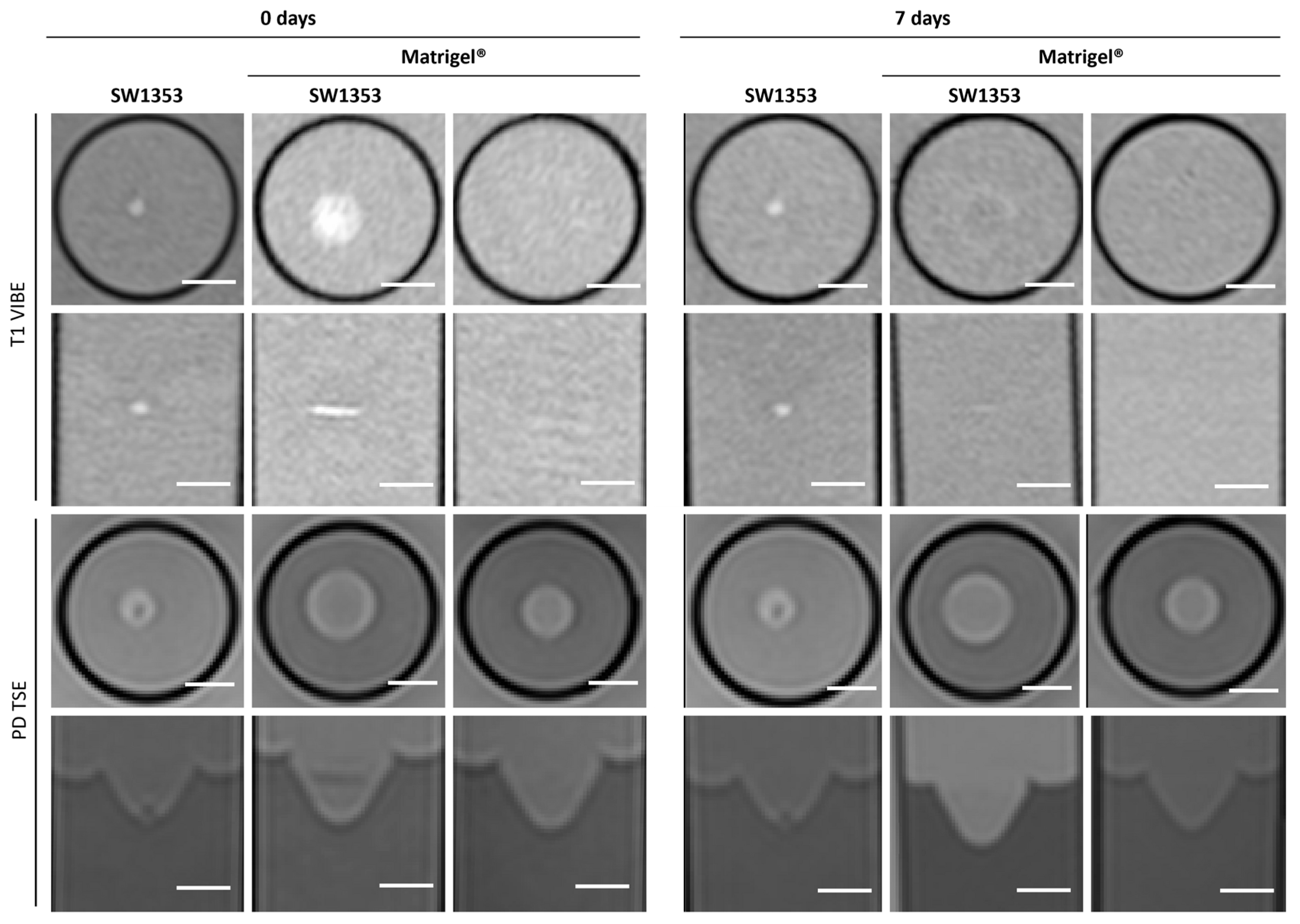 Jfb 16 00440 g002 Jfb 16 00440 g002