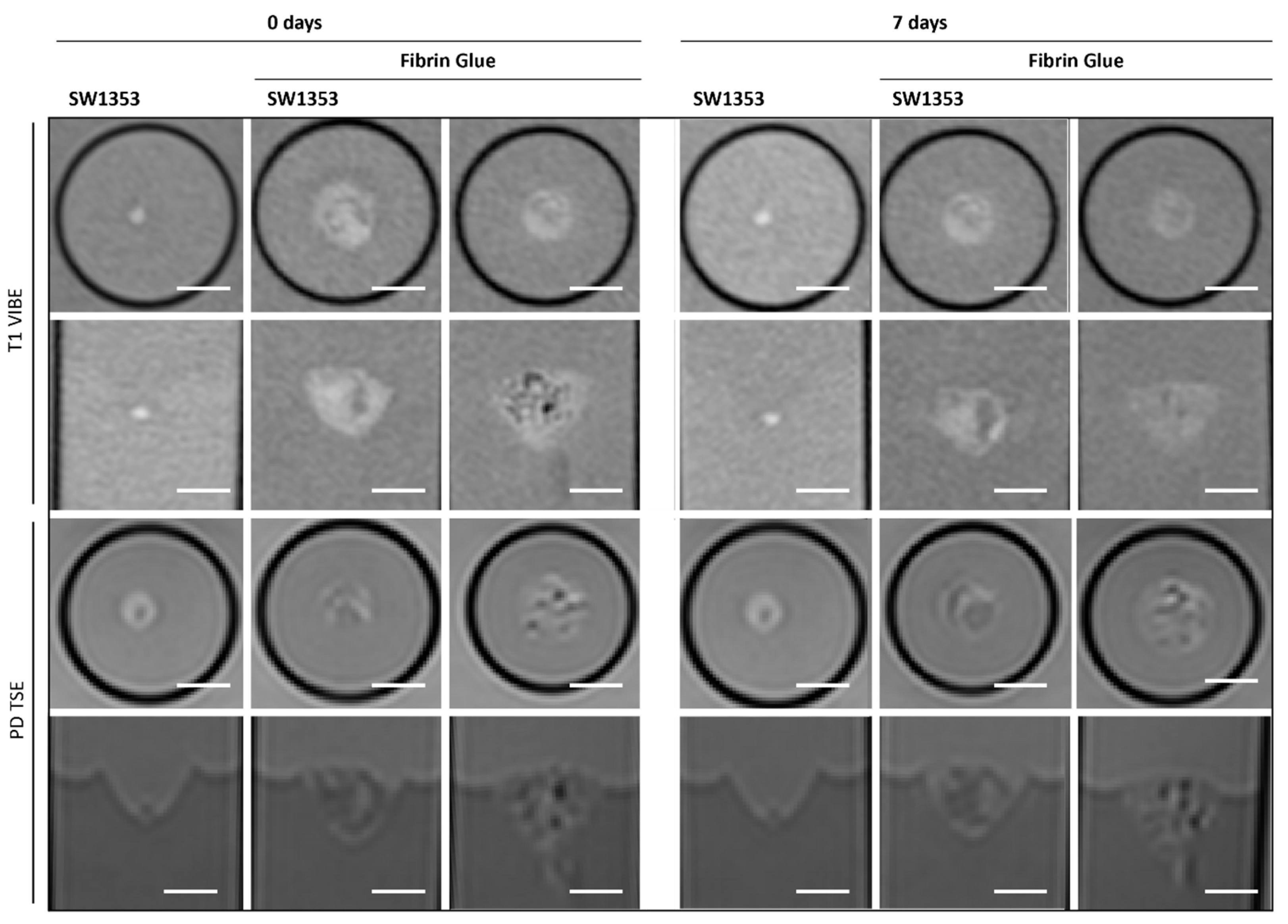 Jfb 16 00440 g005 Jfb 16 00440 g005