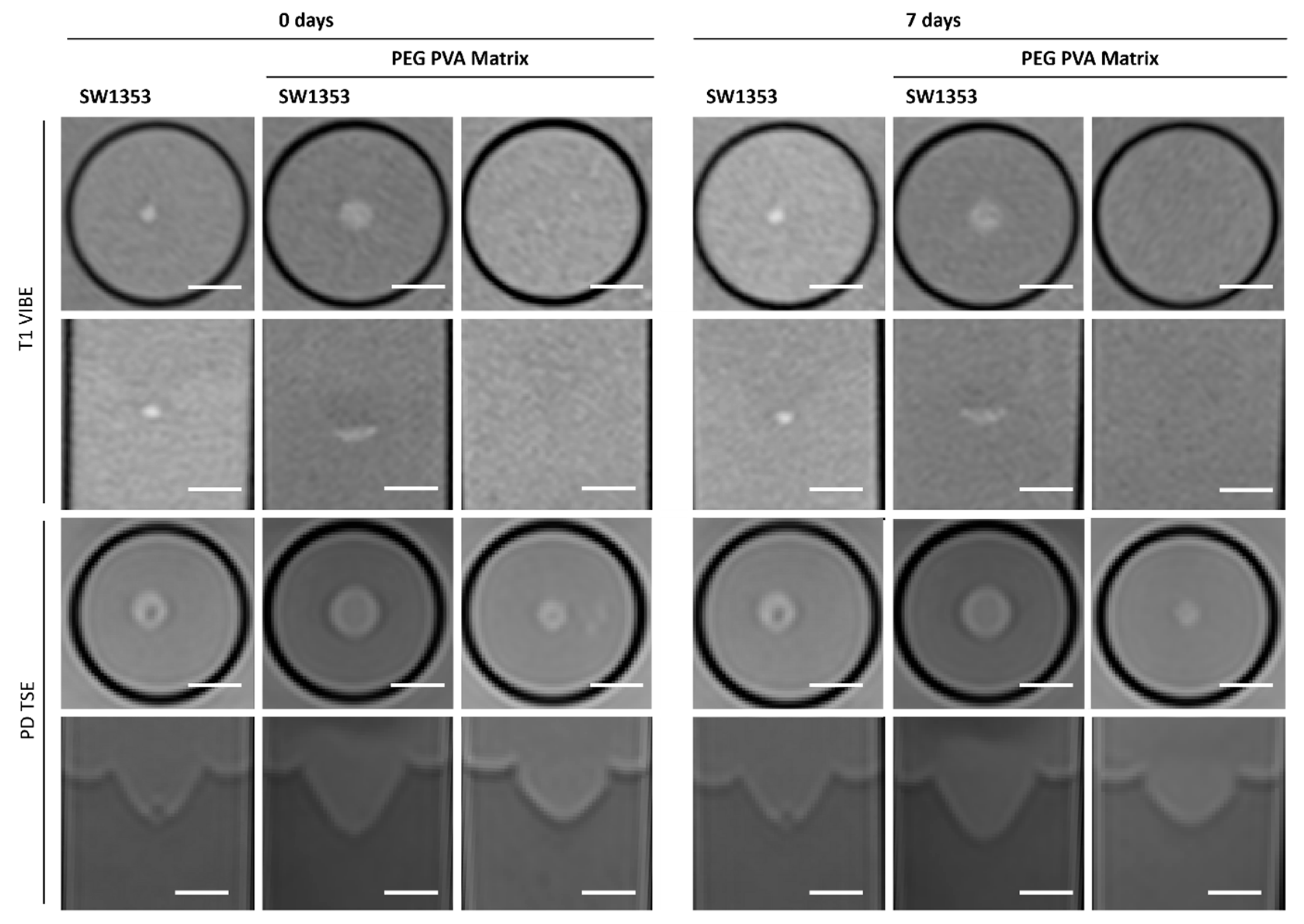 Jfb 16 00440 g006 Jfb 16 00440 g006