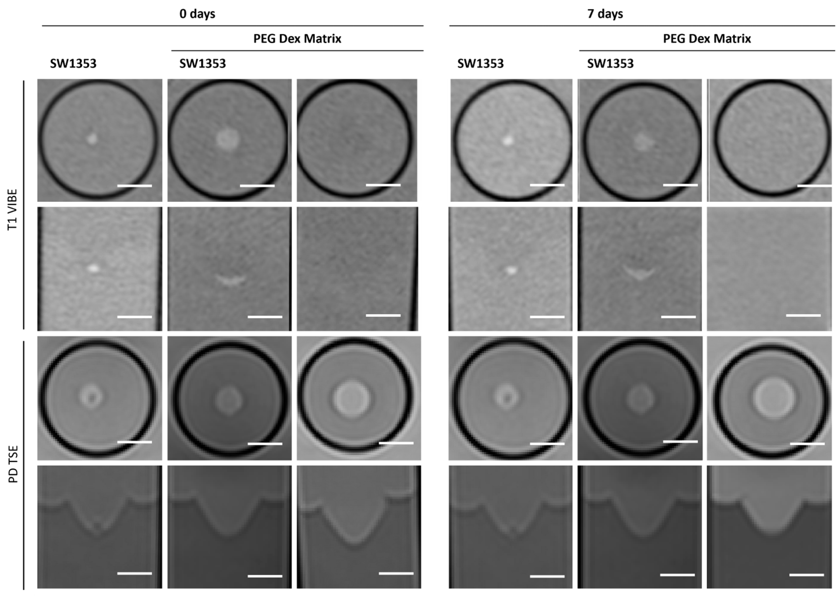 Jfb 16 00440 g007 Jfb 16 00440 g007