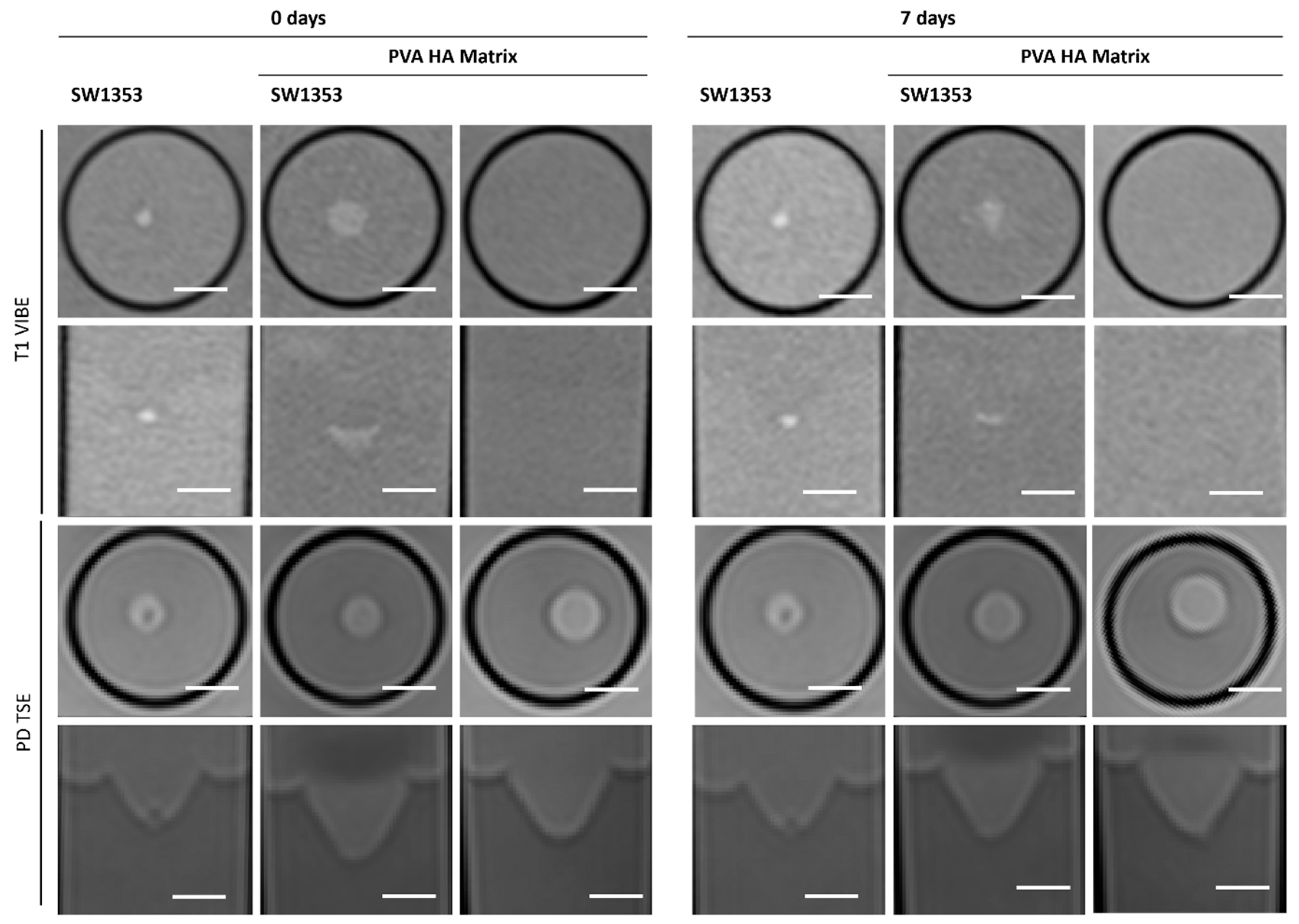 Jfb 16 00440 g008 Jfb 16 00440 g008