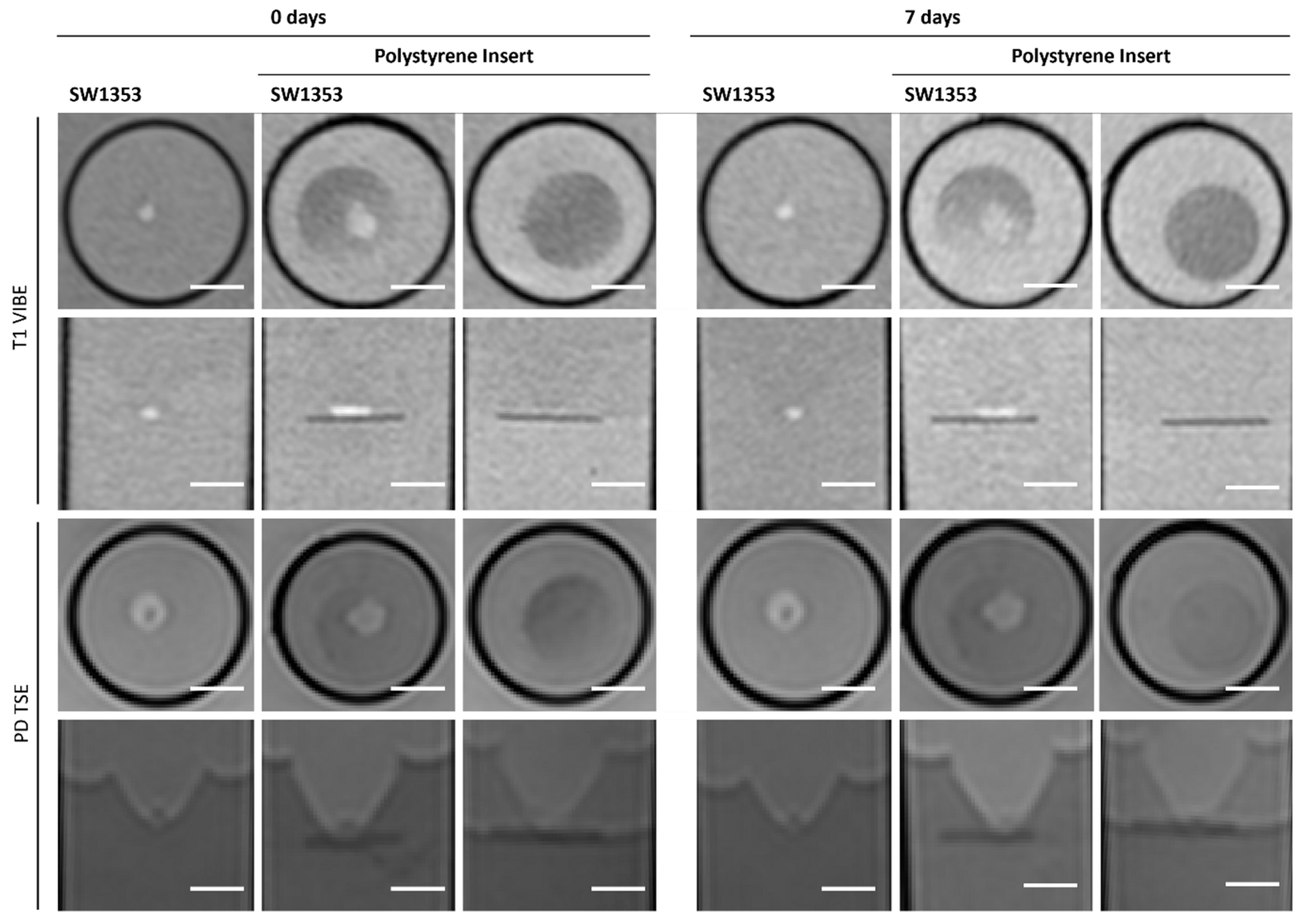Jfb 16 00440 g009 Jfb 16 00440 g009