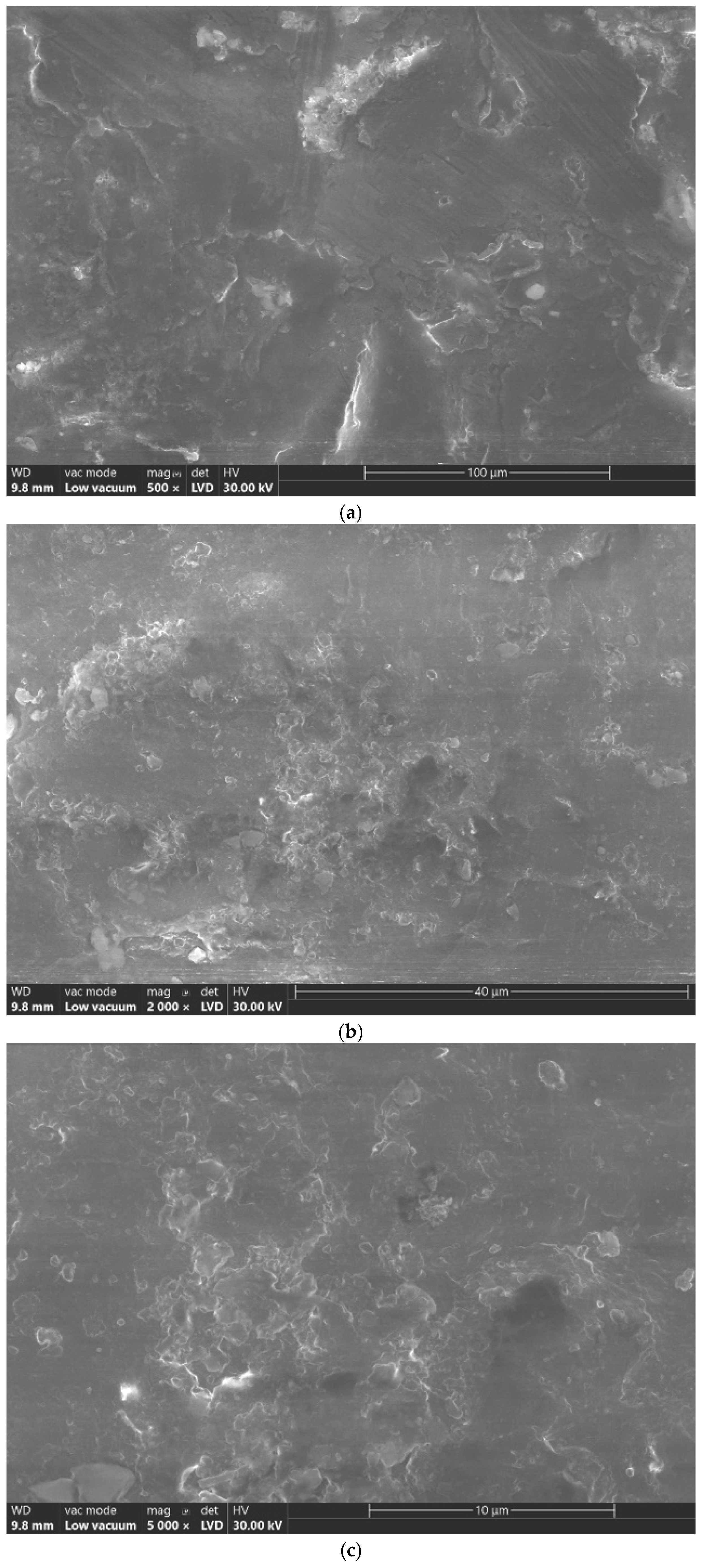 Jfb 16 00442 g001a Jfb 16 00442 g001a