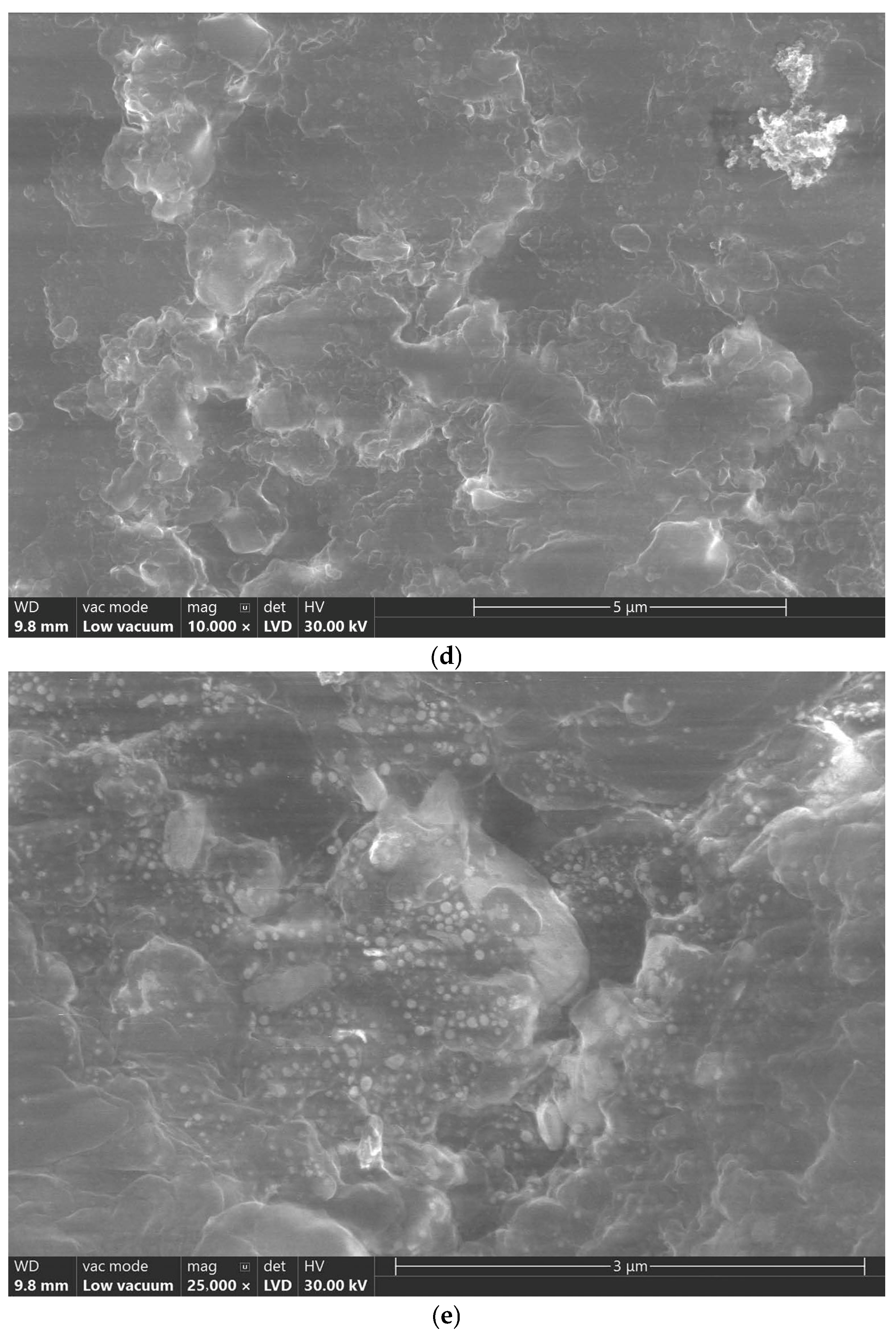 Jfb 16 00442 g001b Jfb 16 00442 g001b