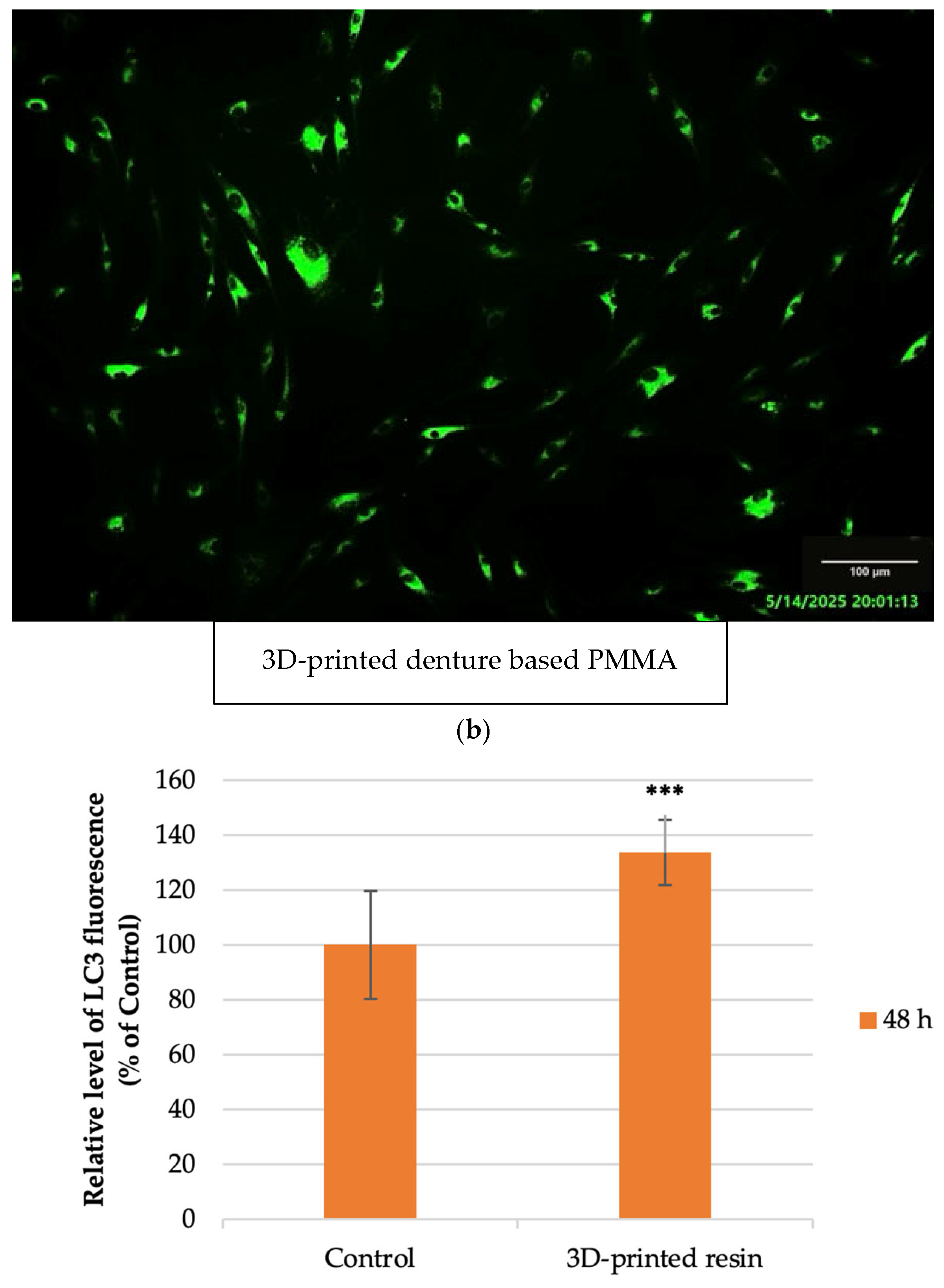 Jfb 16 00442 g005b Jfb 16 00442 g005b