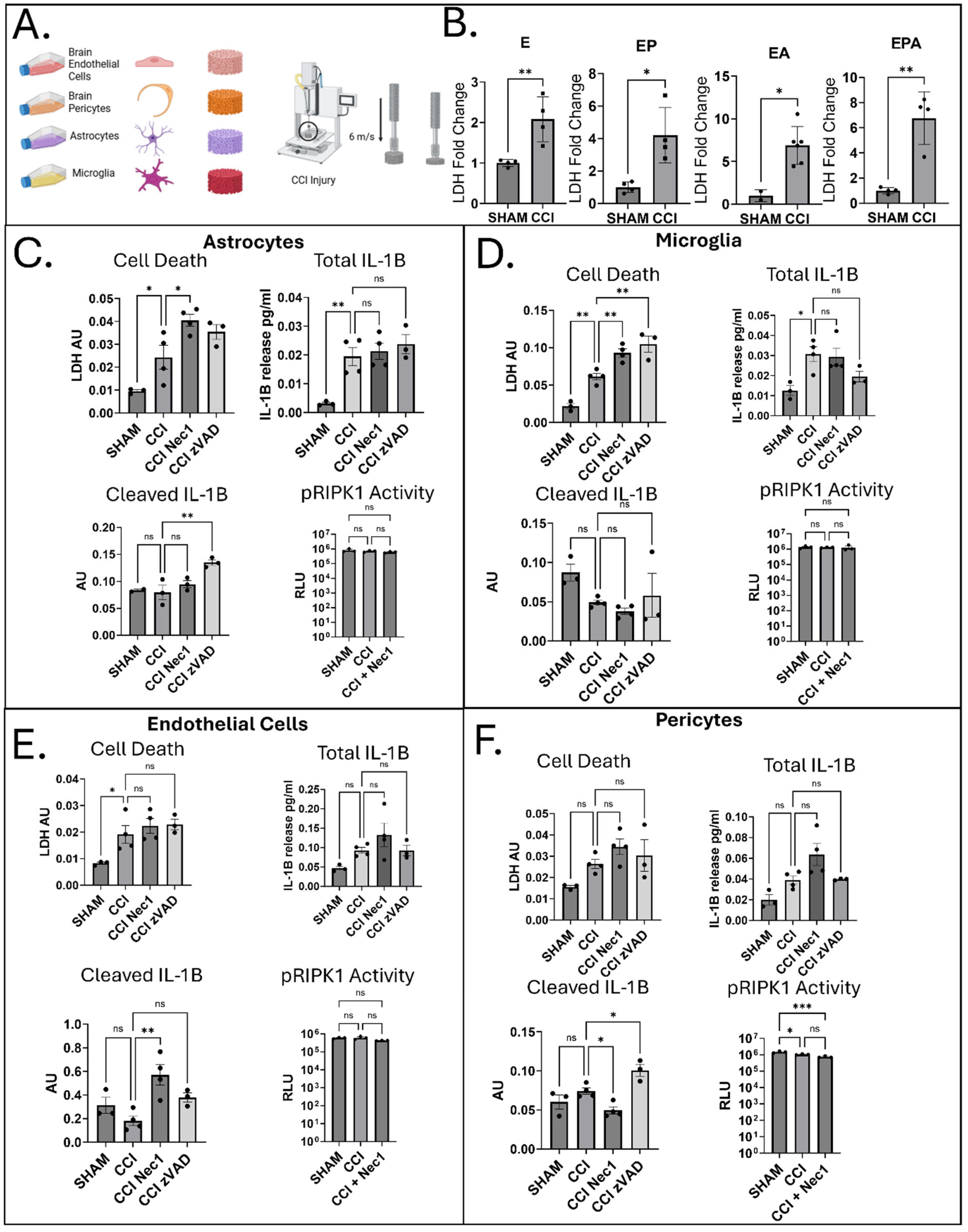 Jfb 16 00454 g001 Jfb 16 00454 g001