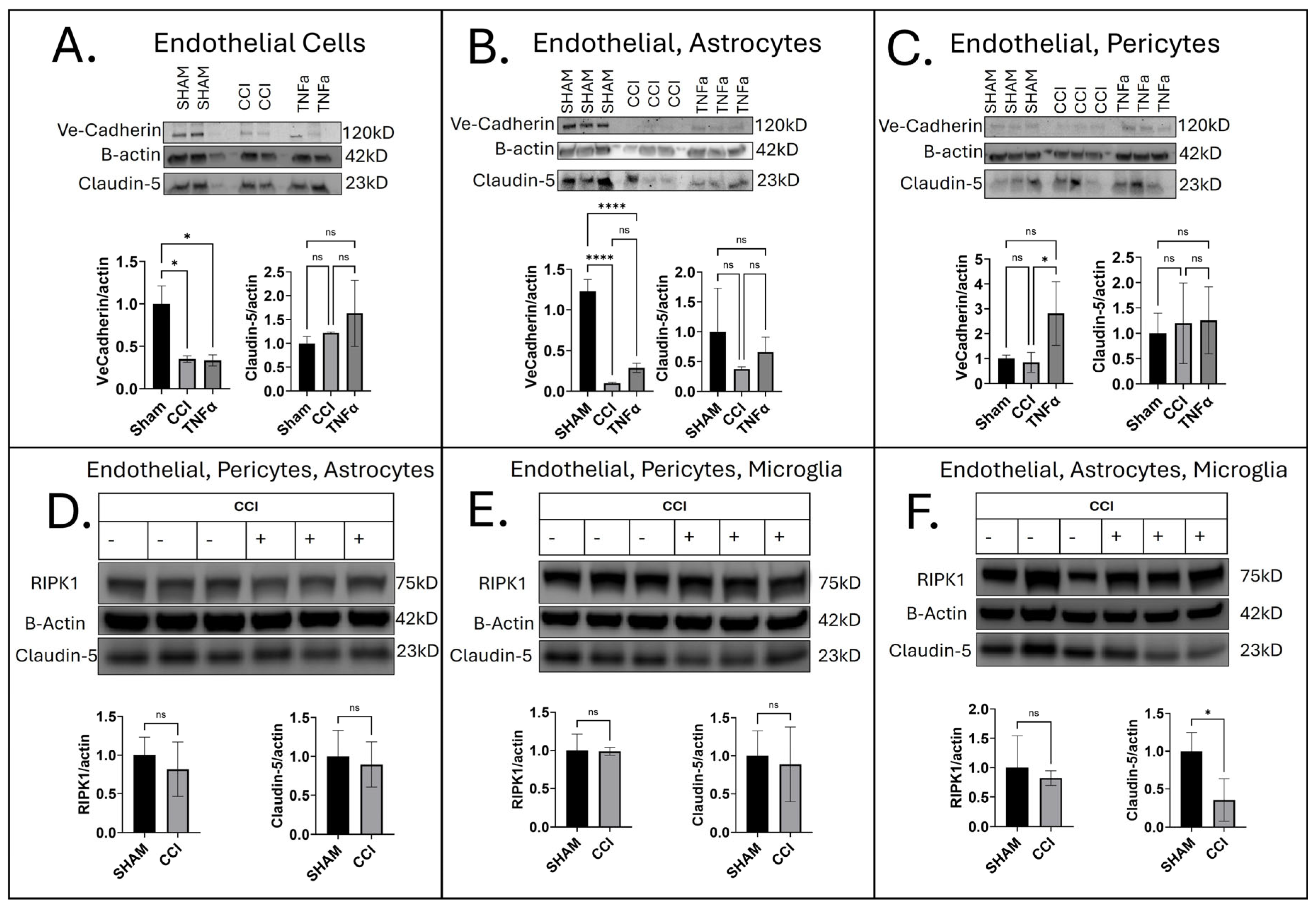 Jfb 16 00454 g002 Jfb 16 00454 g002
