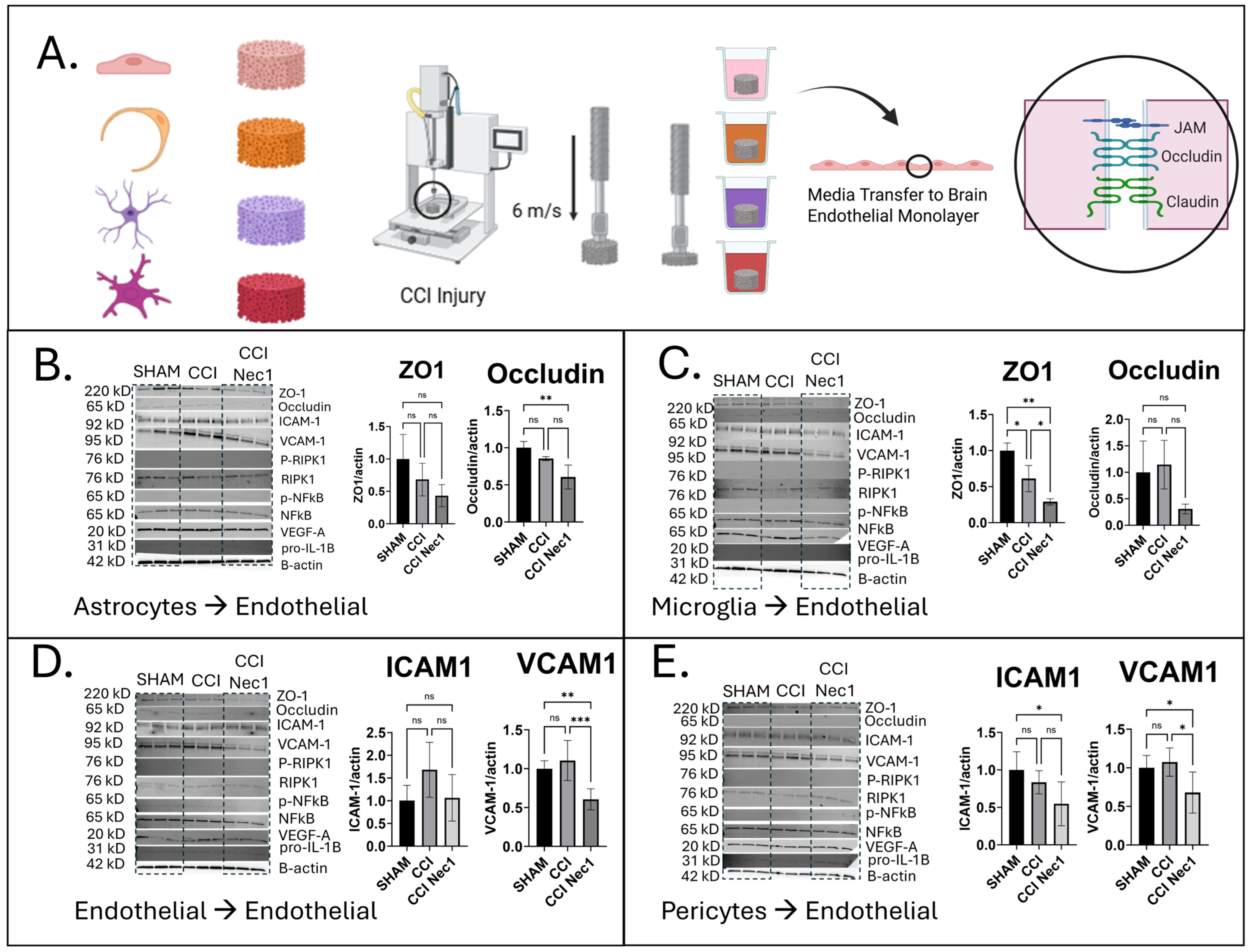 Jfb 16 00454 g004 Jfb 16 00454 g004