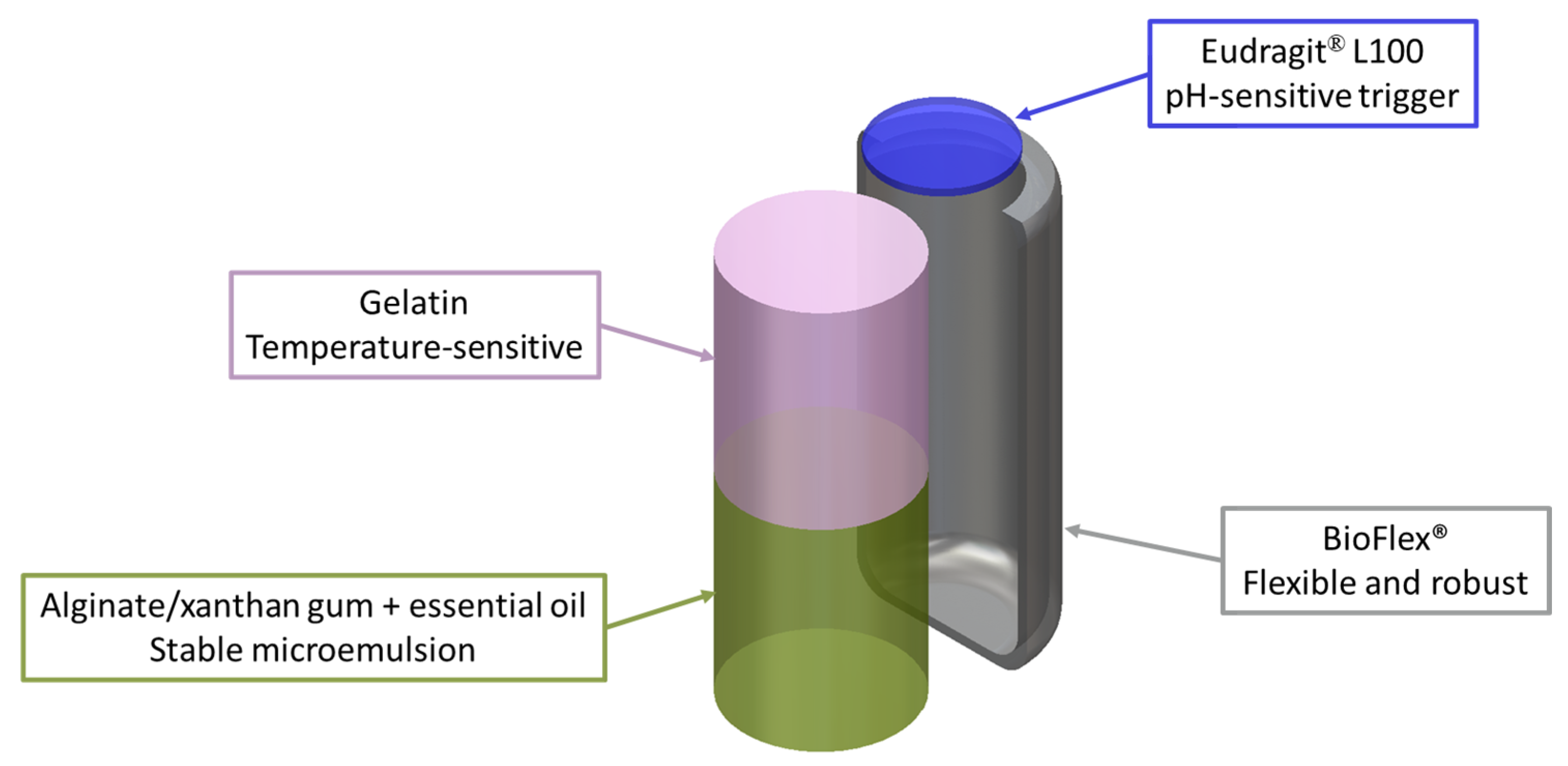 Jfb 16 00456 g001 Jfb 16 00456 g001