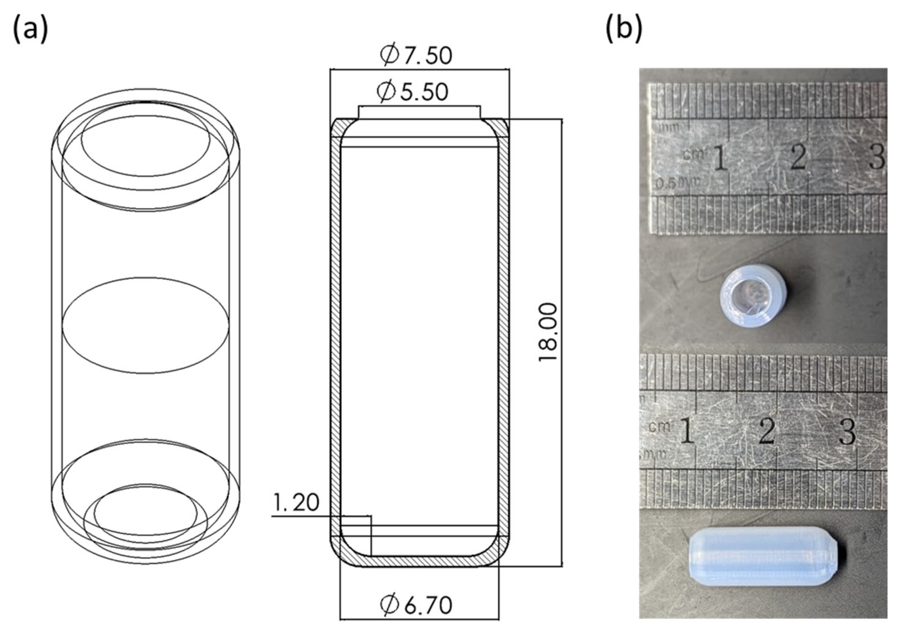 Jfb 16 00456 g004 Jfb 16 00456 g004