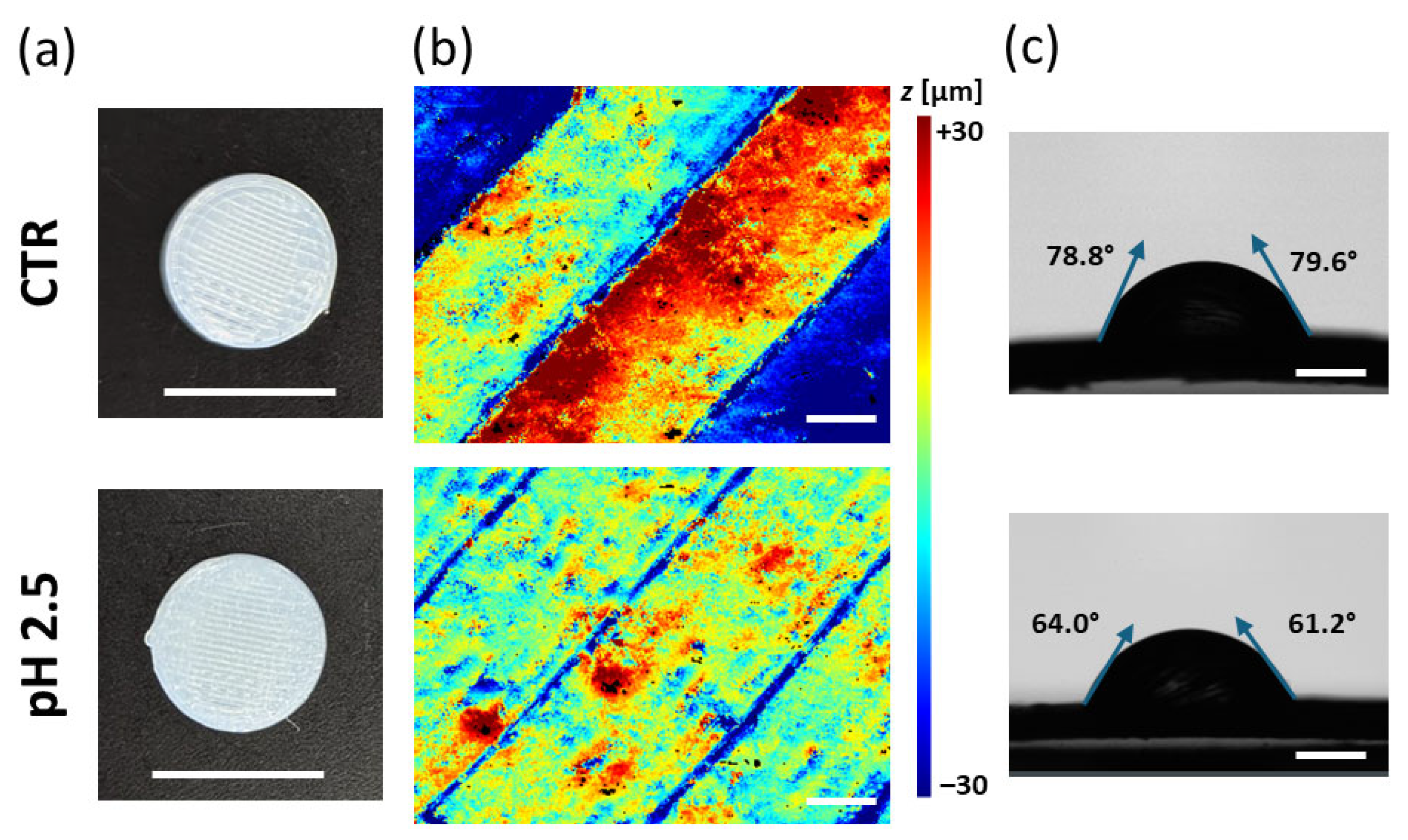 Jfb 16 00456 g005 Jfb 16 00456 g005