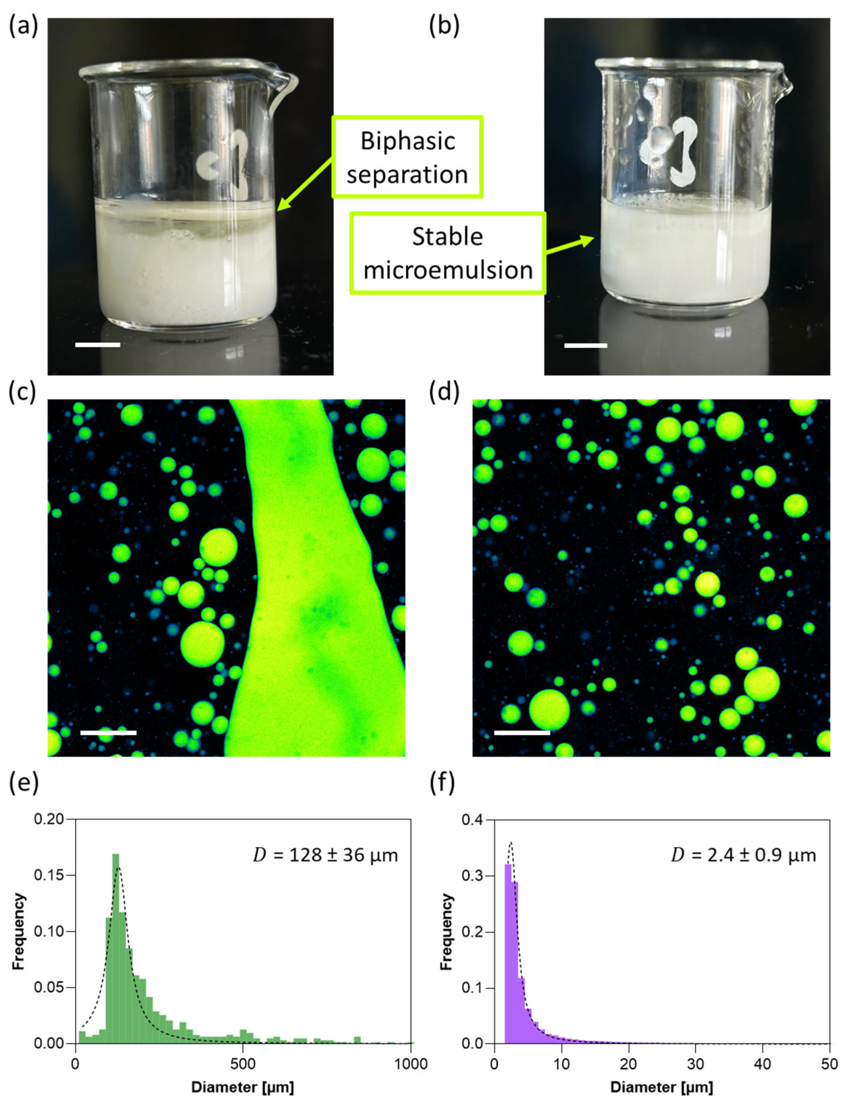 Jfb 16 00456 g007 Jfb 16 00456 g007