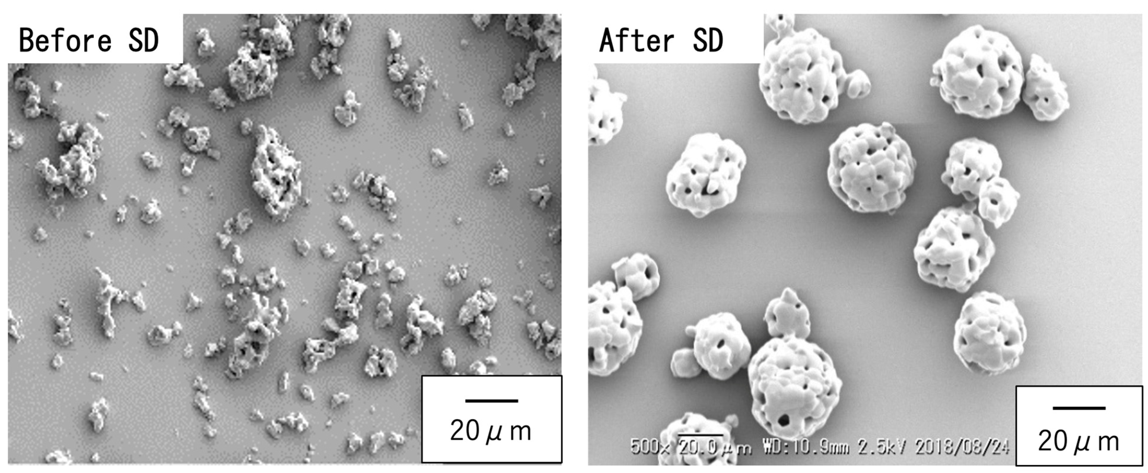 Jfb 16 00458 g001 Jfb 16 00458 g001