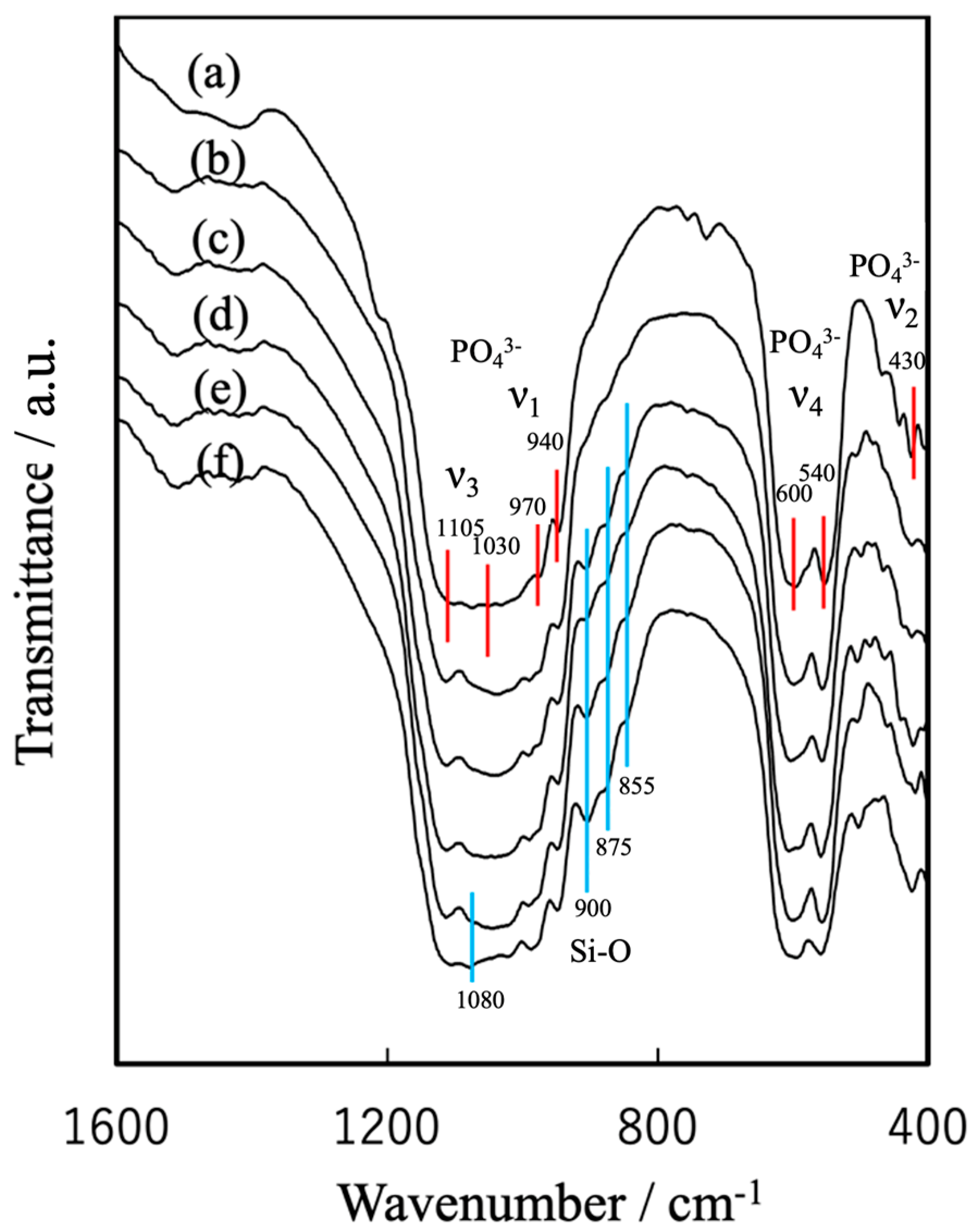 Jfb 16 00458 g004 Jfb 16 00458 g004