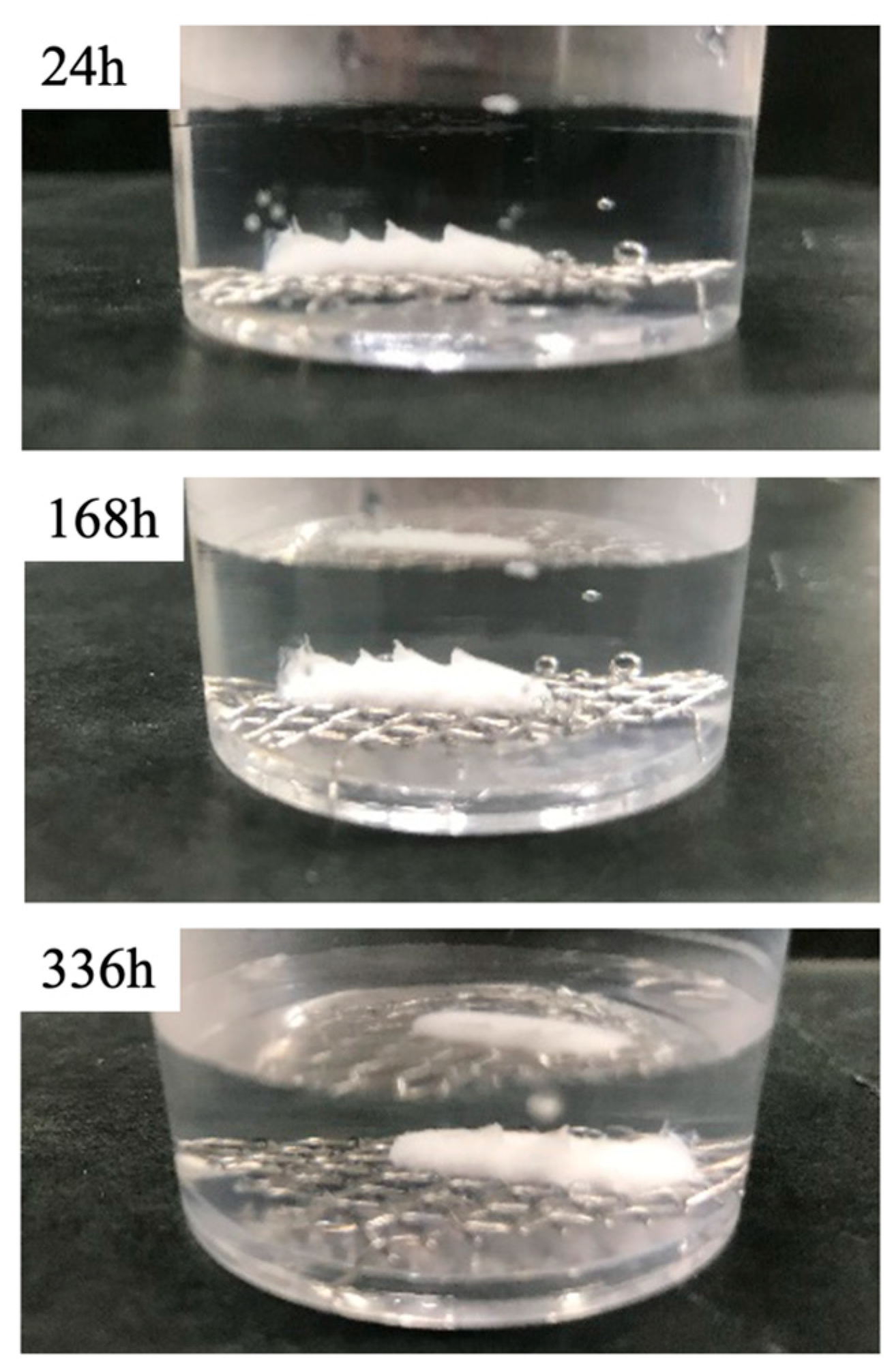 Jfb 16 00458 g009 Jfb 16 00458 g009