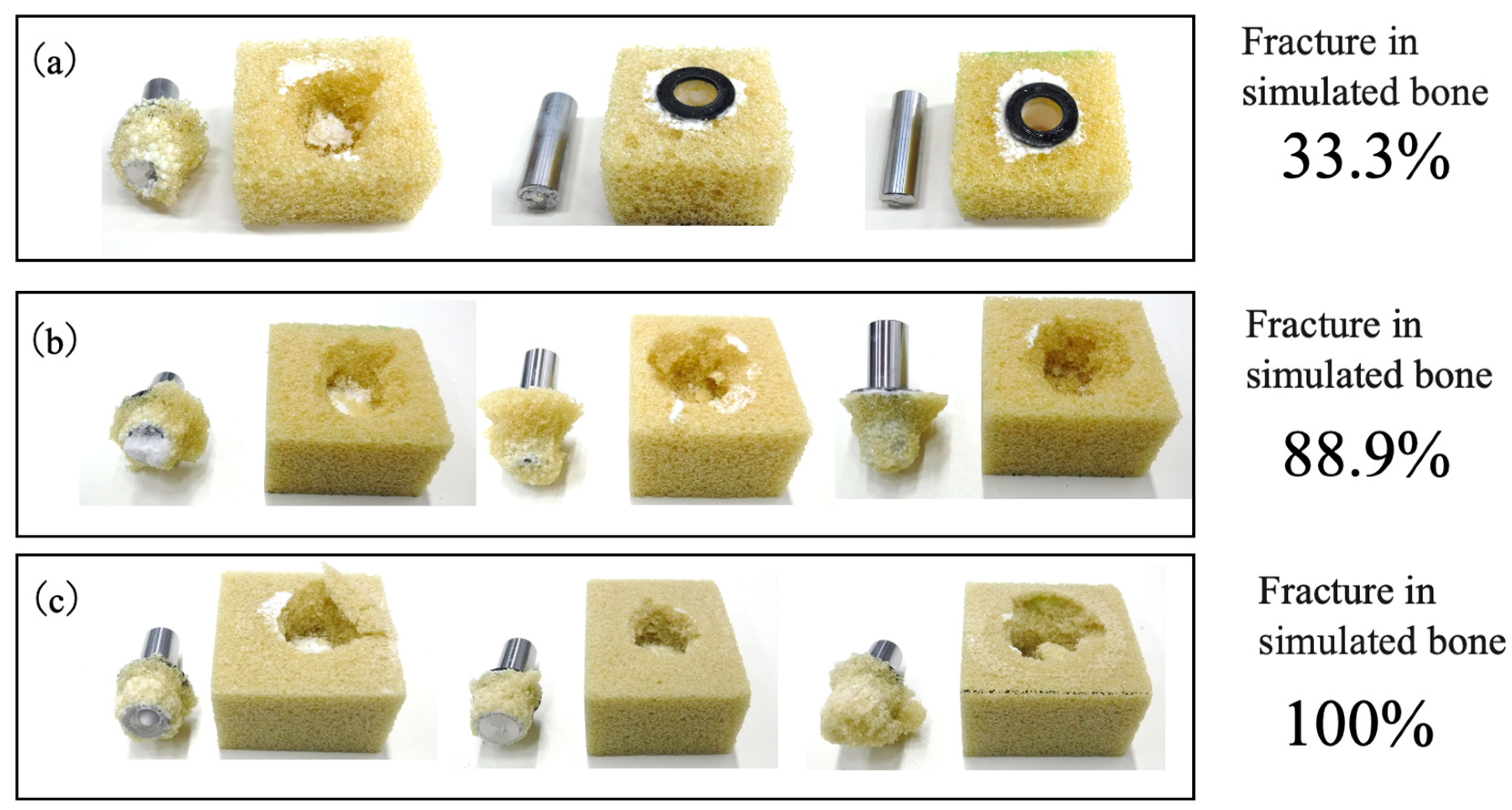 Jfb 16 00458 g019 Jfb 16 00458 g019