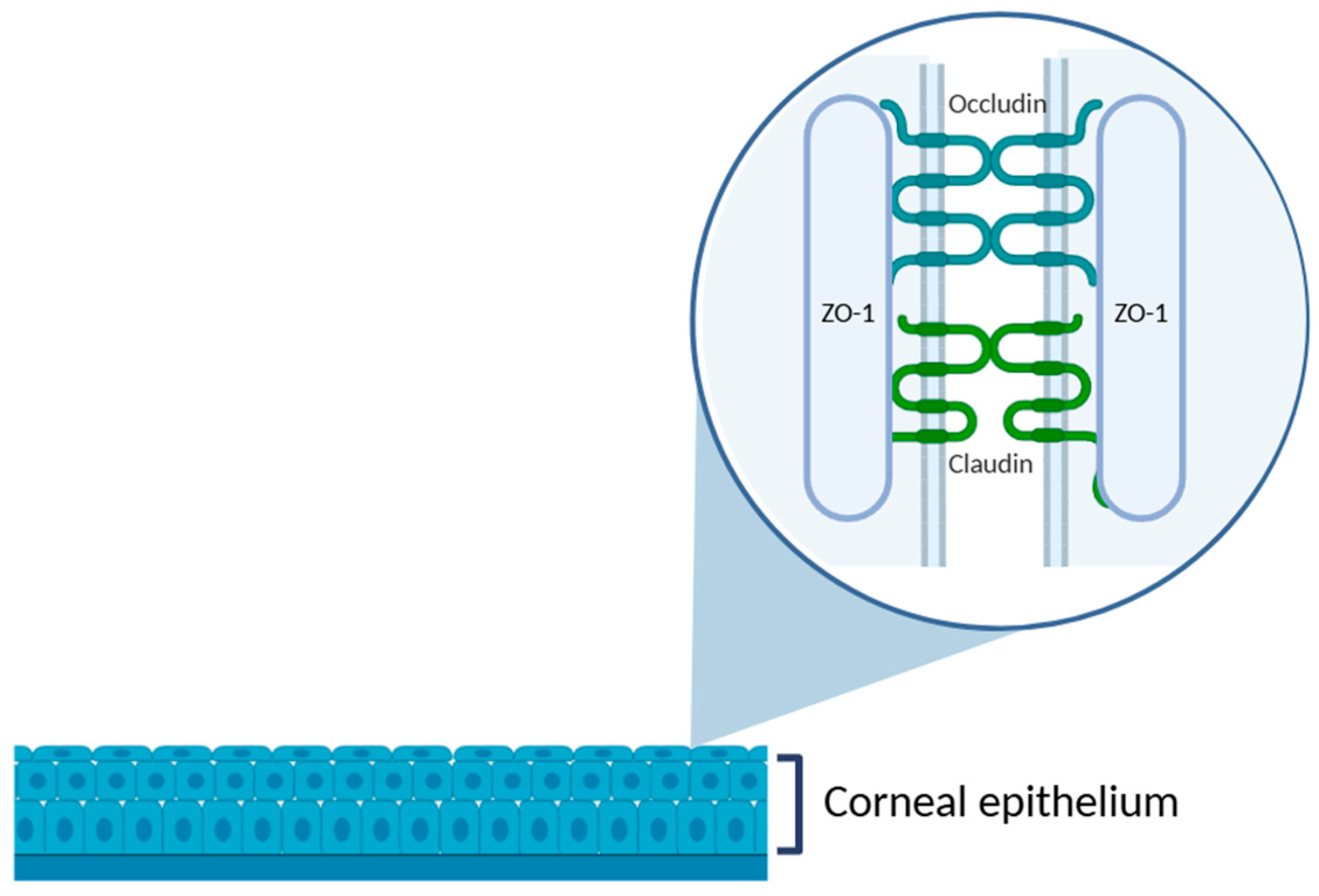 Jfb 16 00460 g003 Jfb 16 00460 g003
