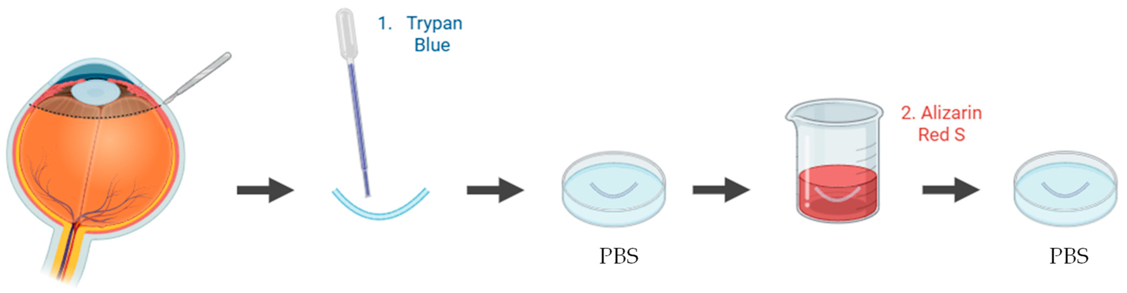 Jfb 16 00460 g005 Jfb 16 00460 g005