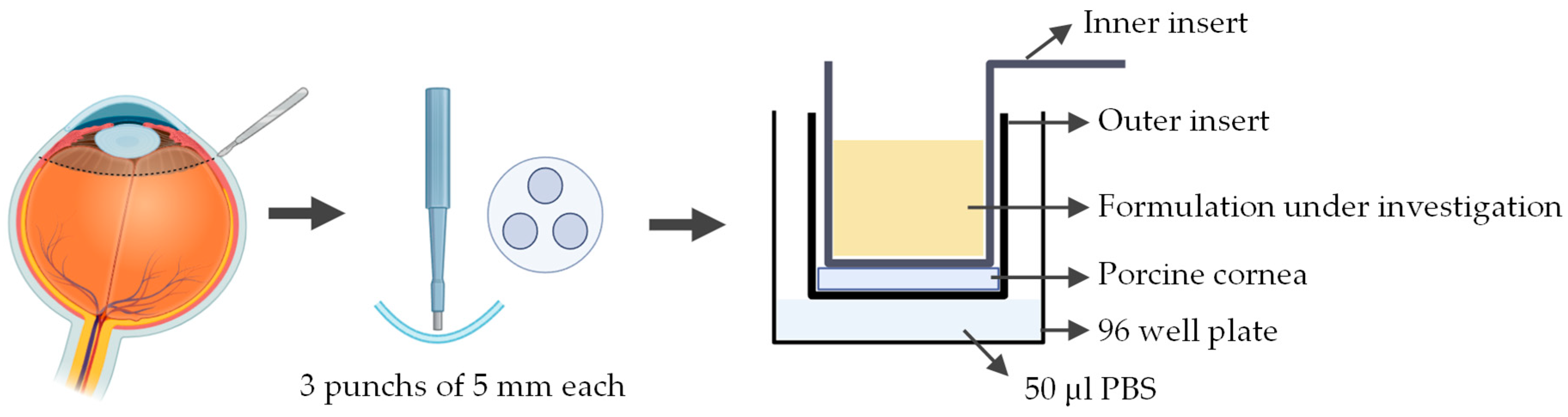 Jfb 16 00460 g007 Jfb 16 00460 g007