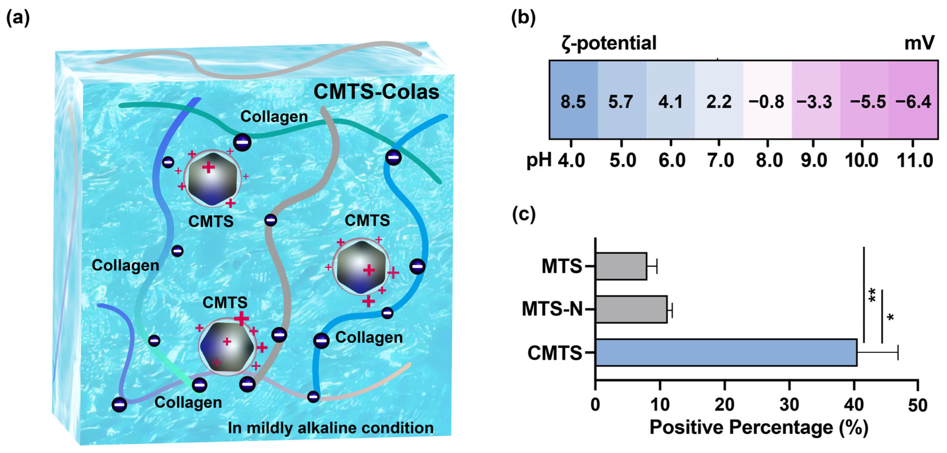 Jfb 16 00461 g003 Jfb 16 00461 g003