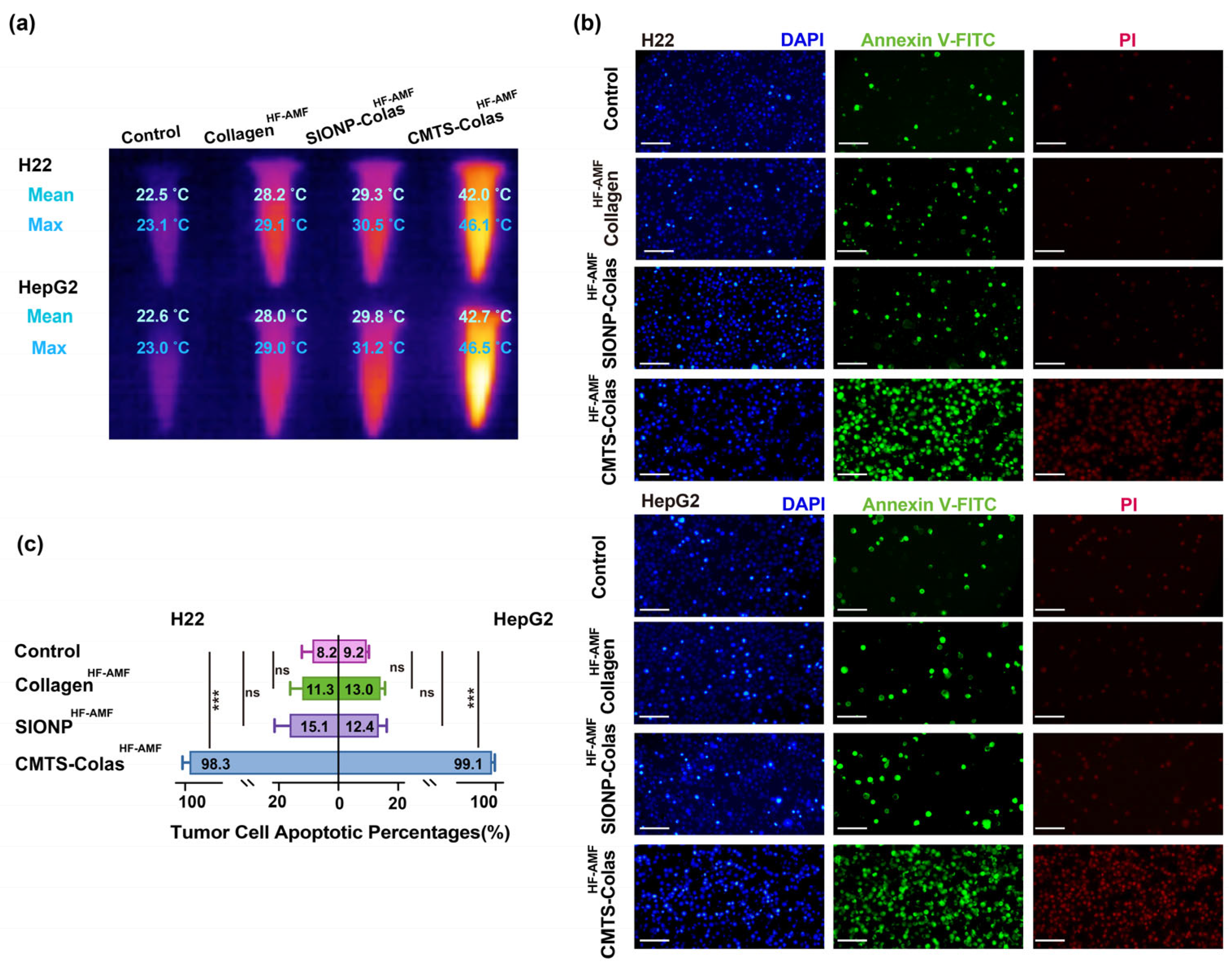 Jfb 16 00461 g007 Jfb 16 00461 g007