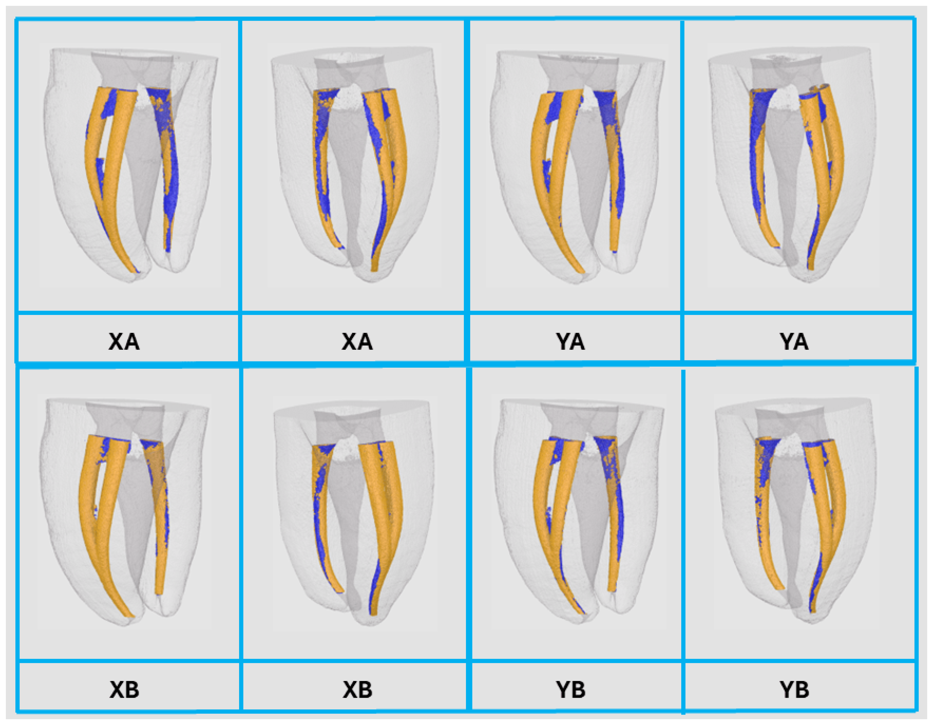 Jfb 16 00471 g005 Jfb 16 00471 g005