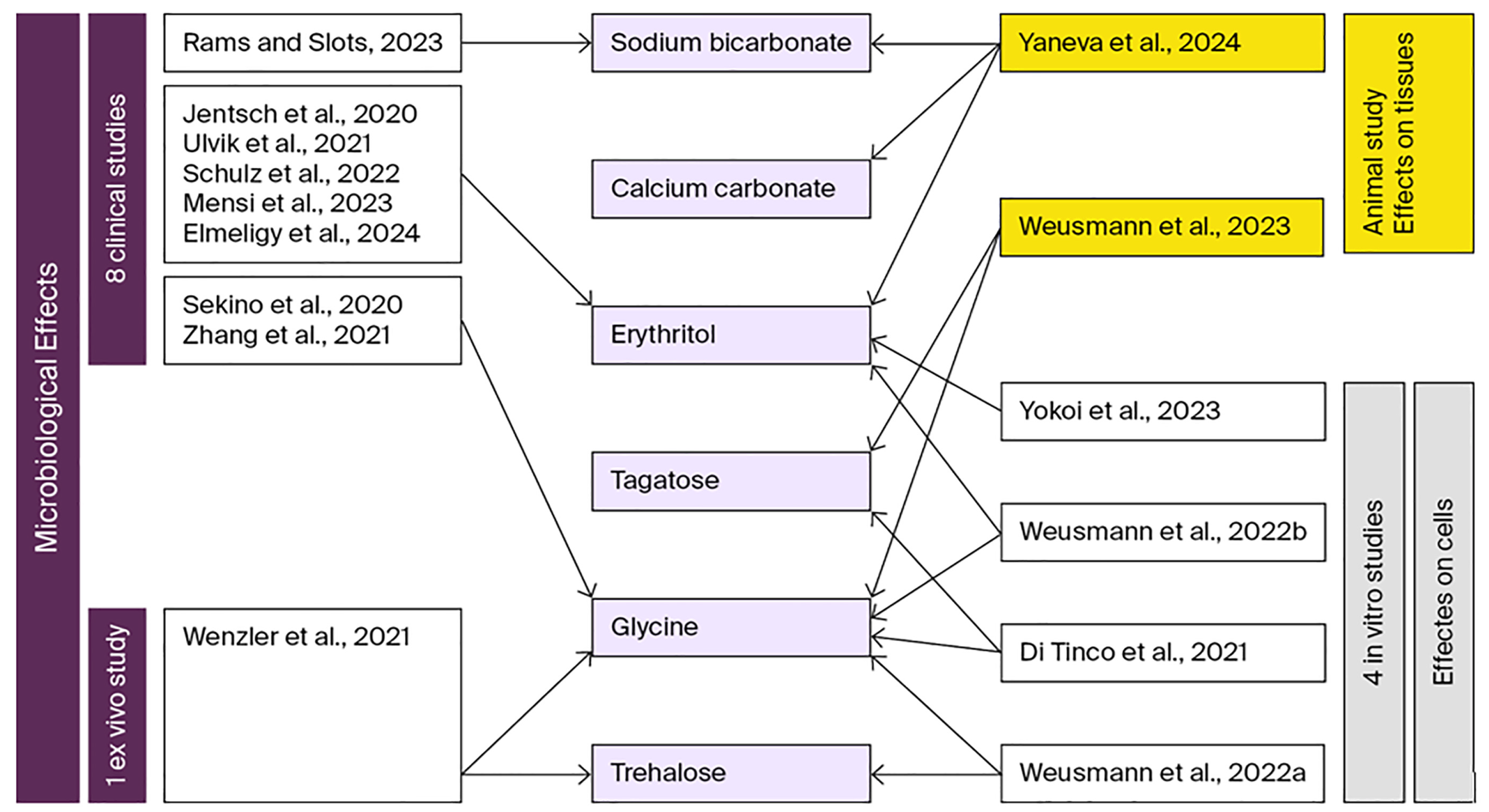 Jfb 17 00009 g001 Jfb 17 00009 g001