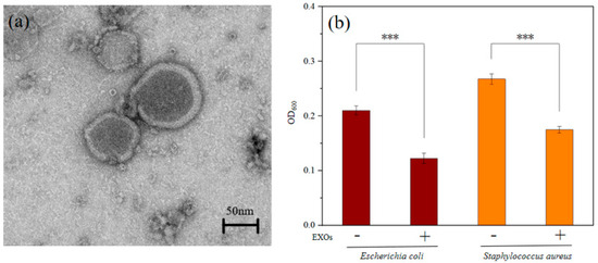 Engineering Self-Assembled PEEK Scaffolds with Marine-Derived
