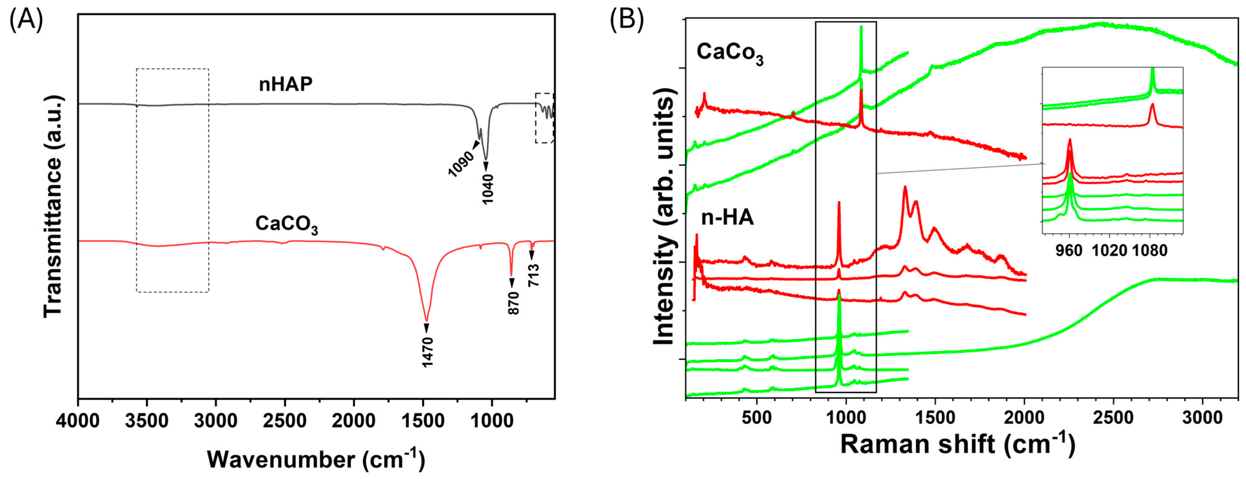 Jfb 17 00024 g004 Jfb 17 00024 g004