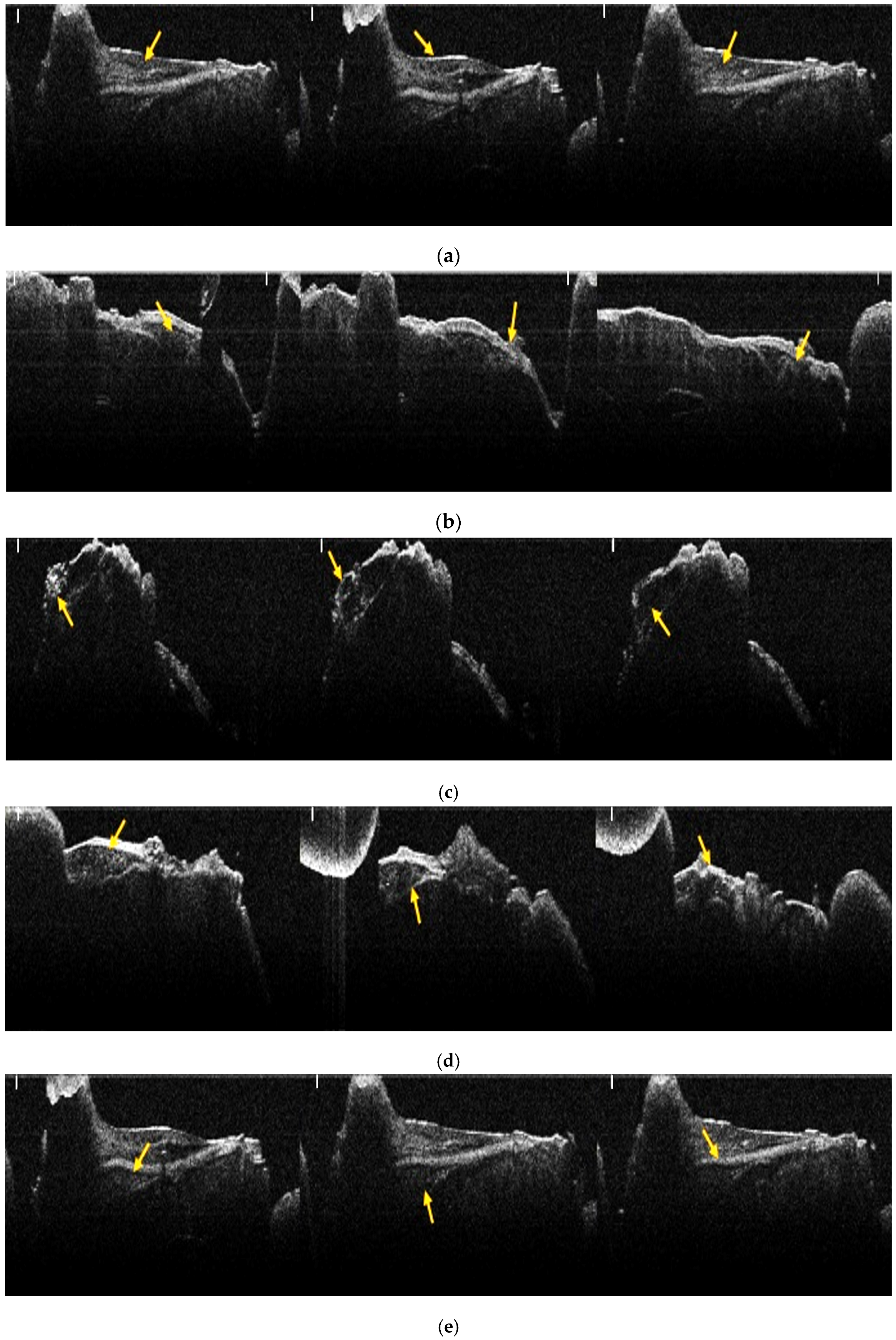 Jfb 17 00026 g002a Jfb 17 00026 g002a