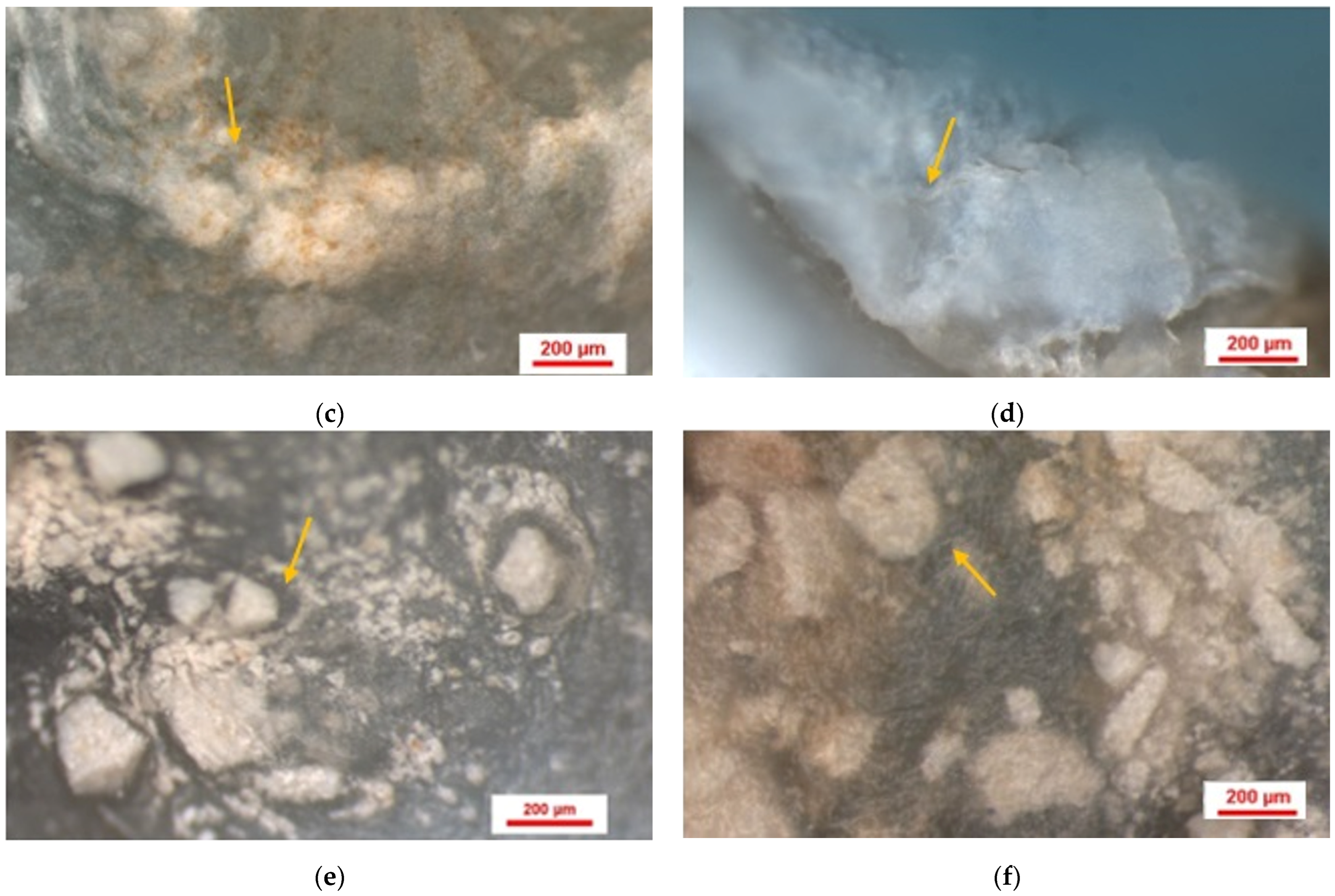 Jfb 17 00026 g003b Jfb 17 00026 g003b