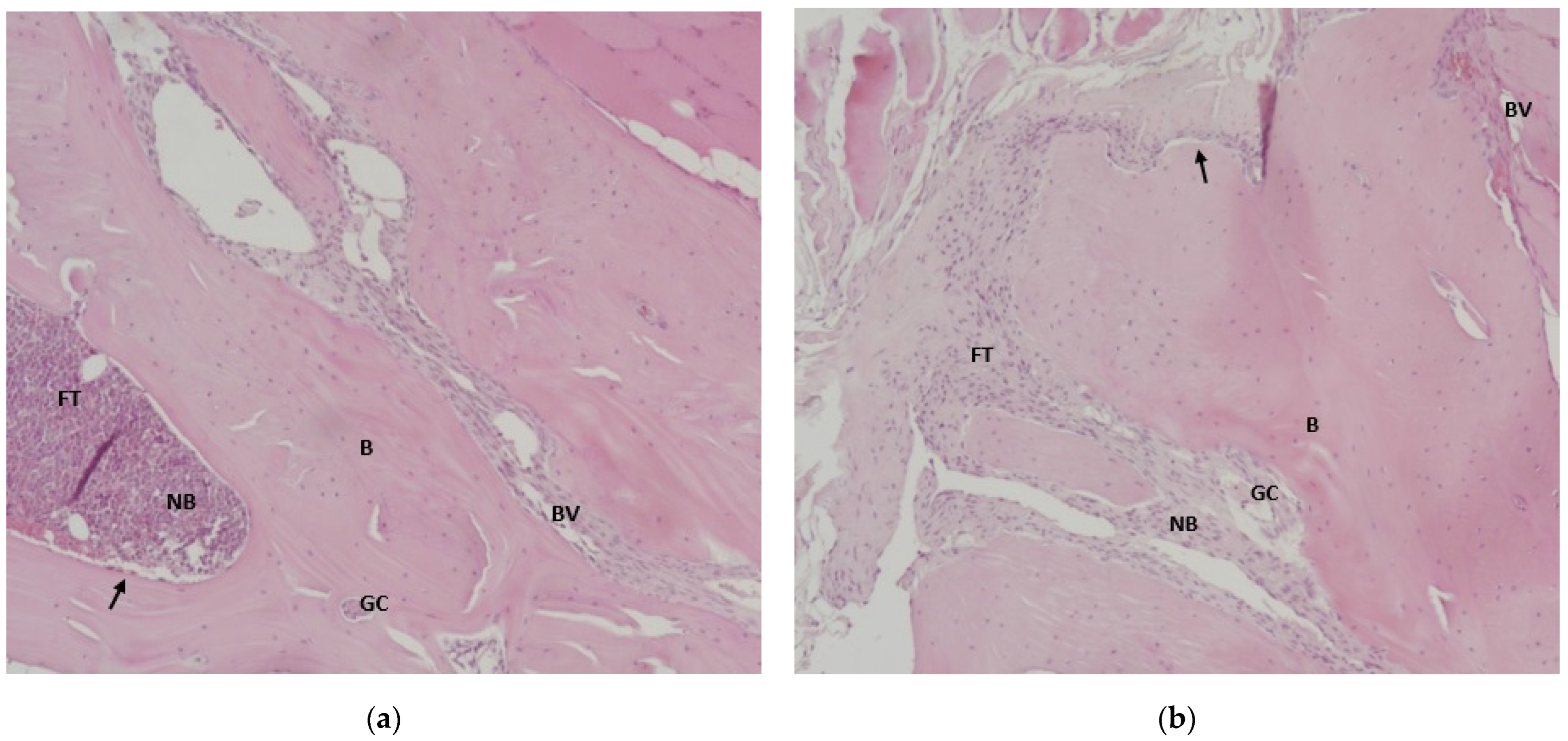 Jfb 17 00026 g004a Jfb 17 00026 g004a