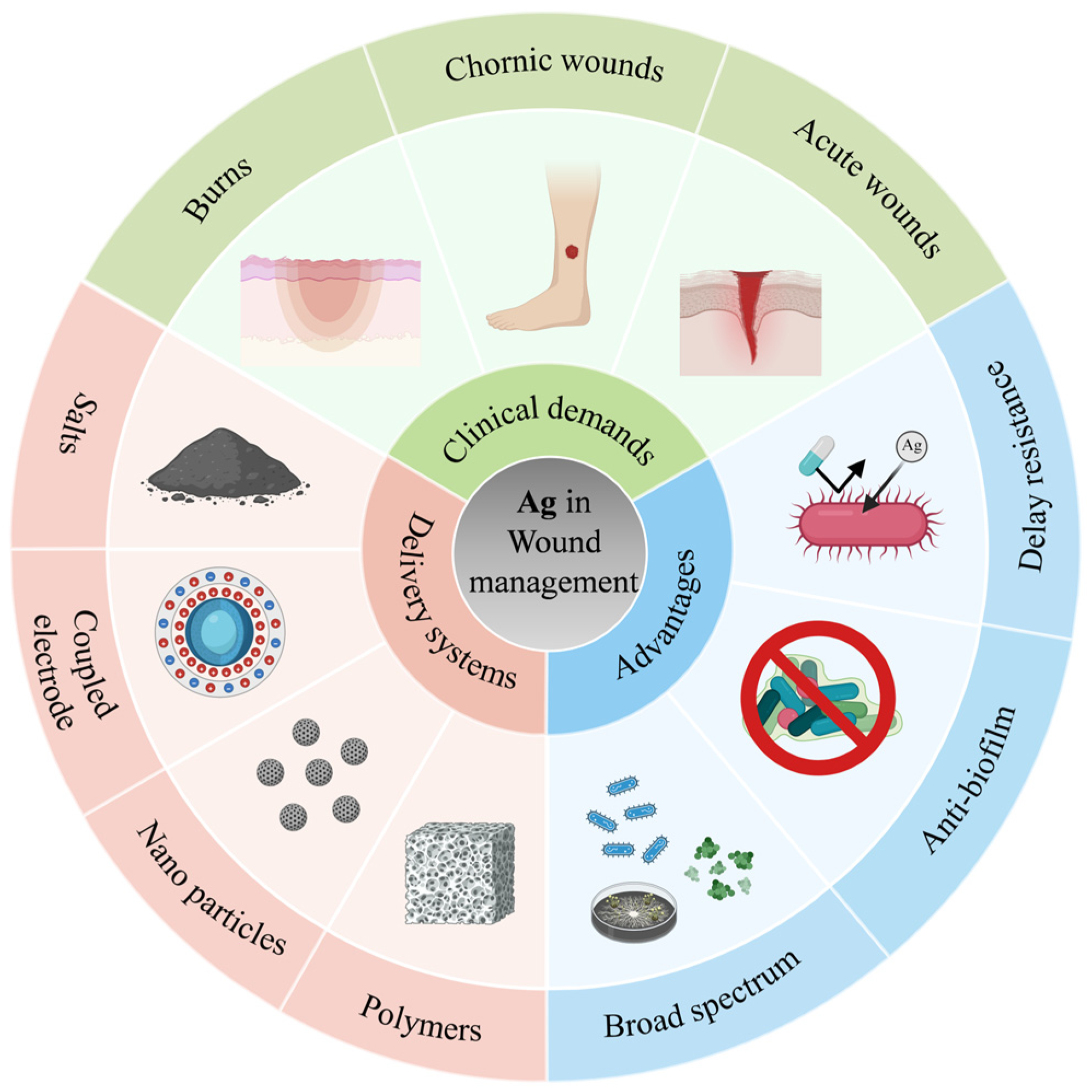 Jfb 17 00027 g001 Jfb 17 00027 g001