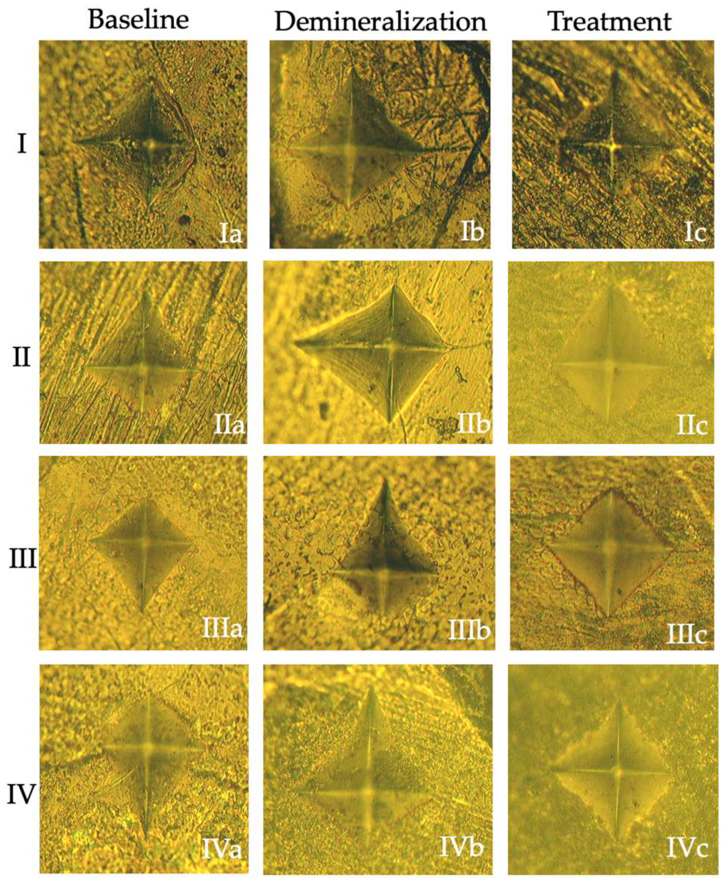 Jfb 17 00067 g001 Jfb 17 00067 g001