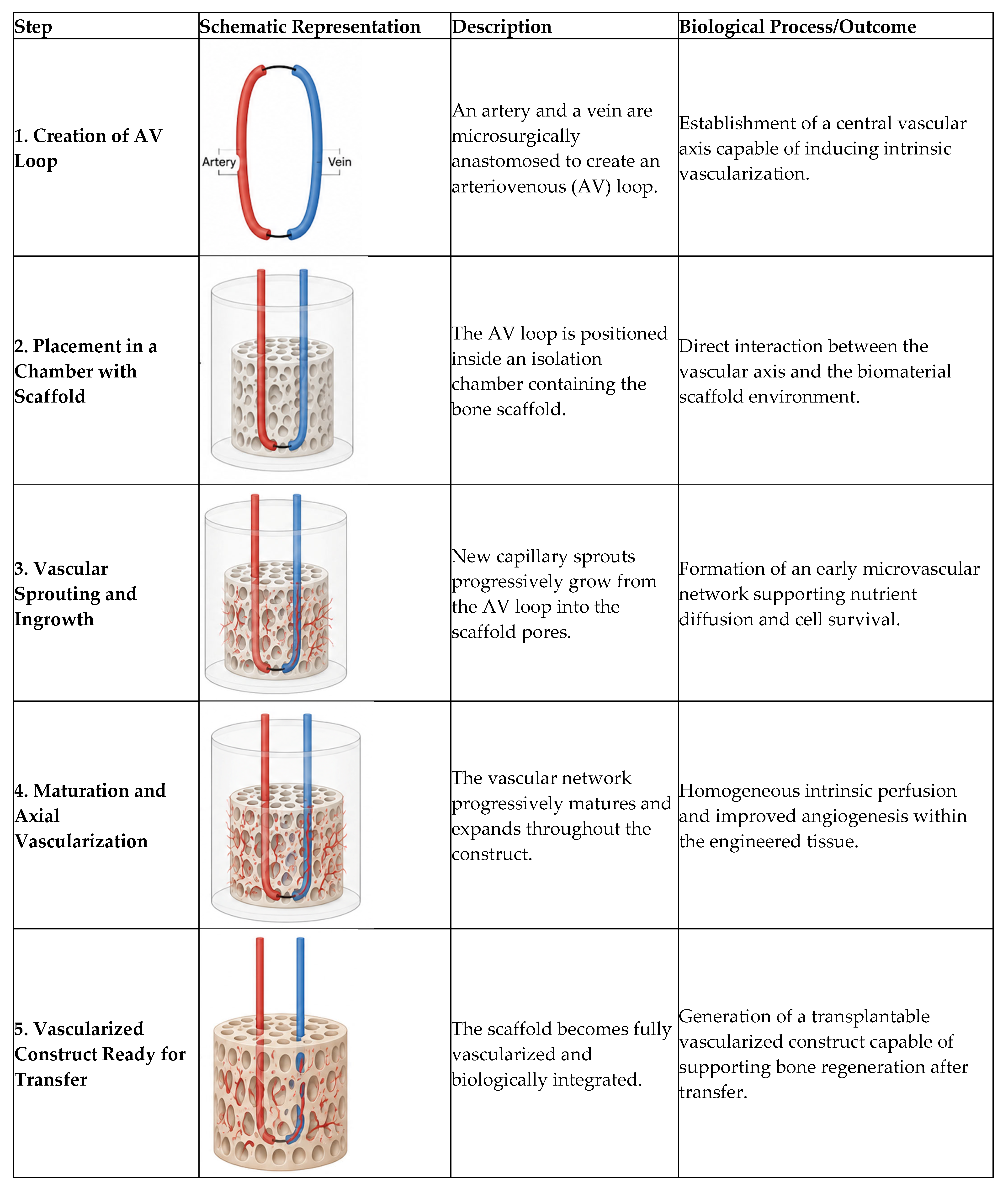 Jfb 17 00270 g002