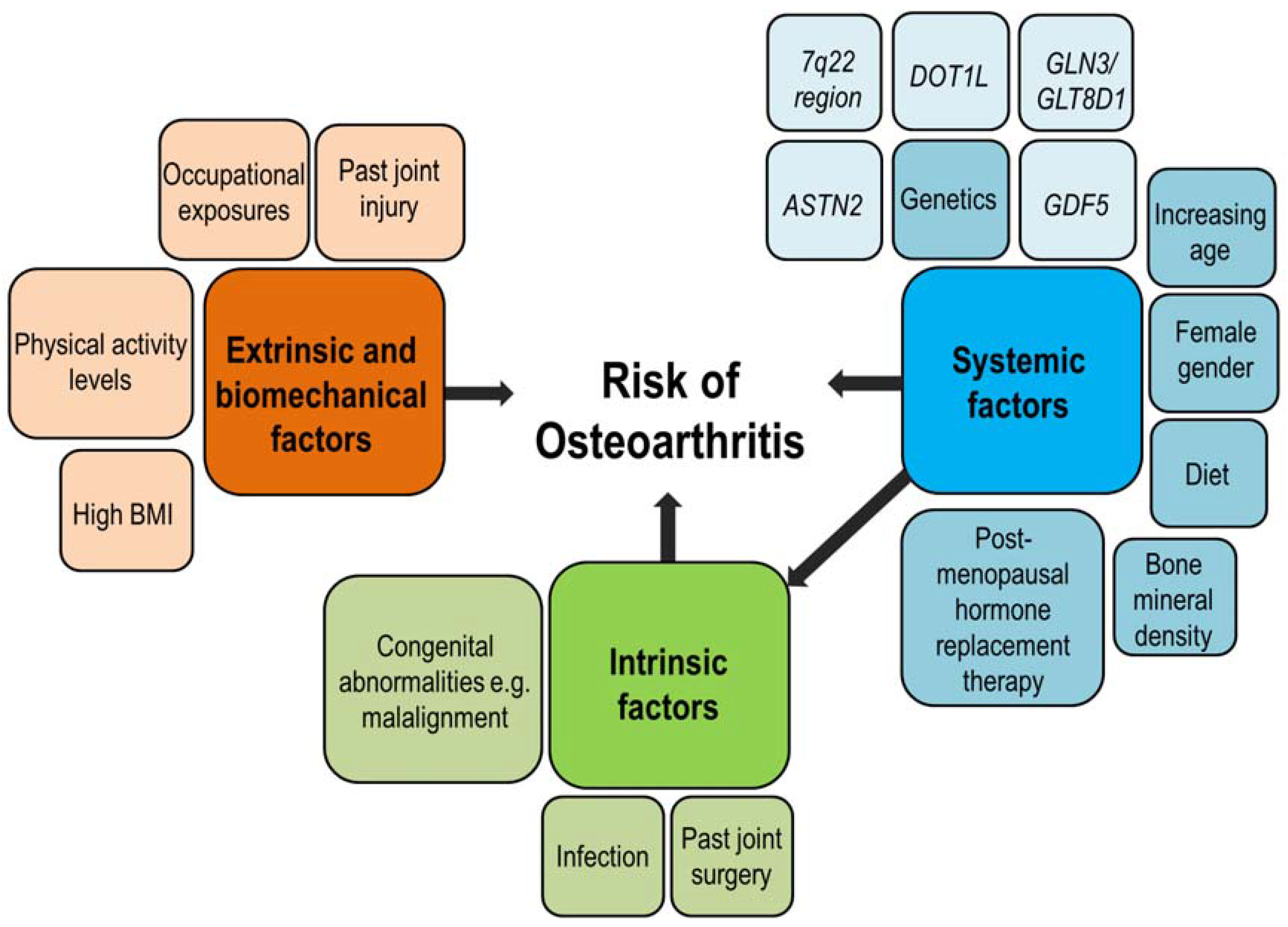 osteoarthritis fórum