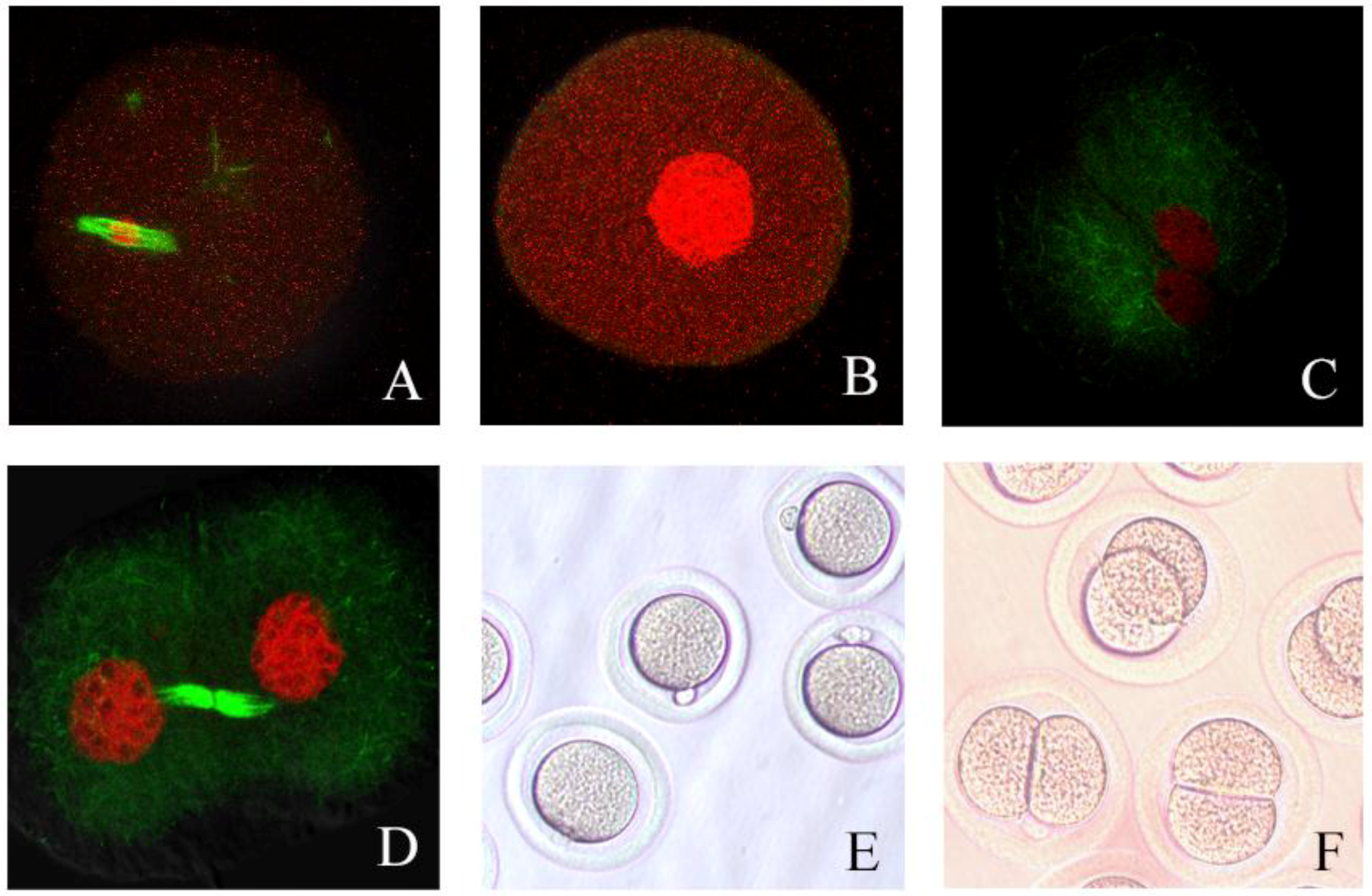 Jfmk 01 00240 g001 1024