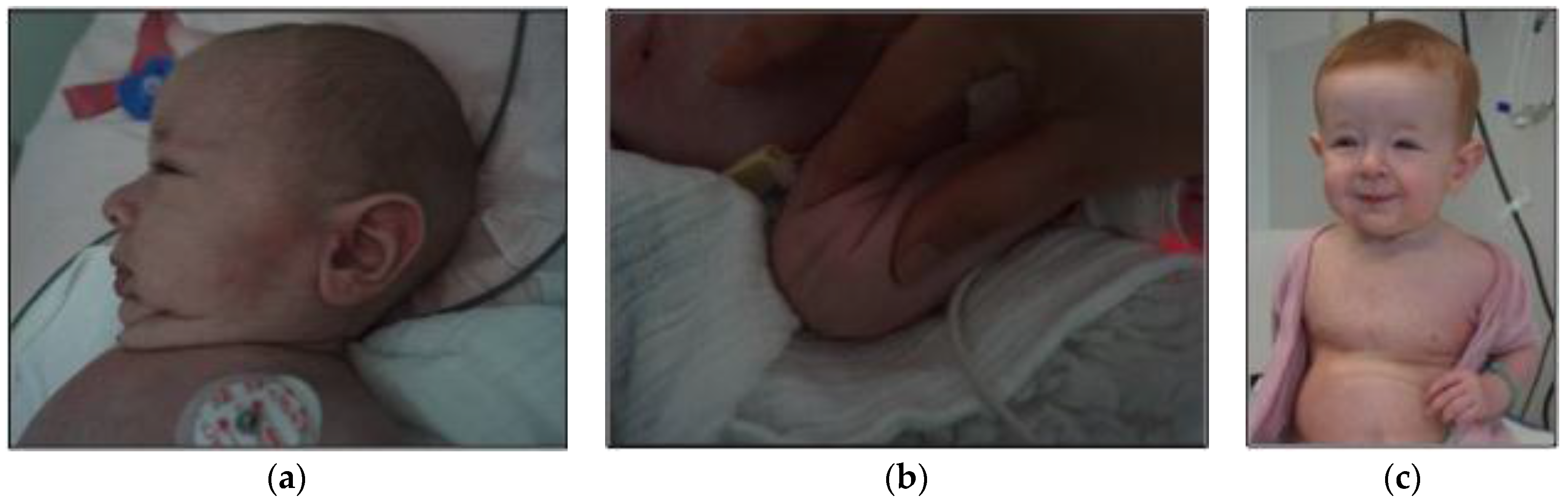 Jfmk 01 00249 g001 1024