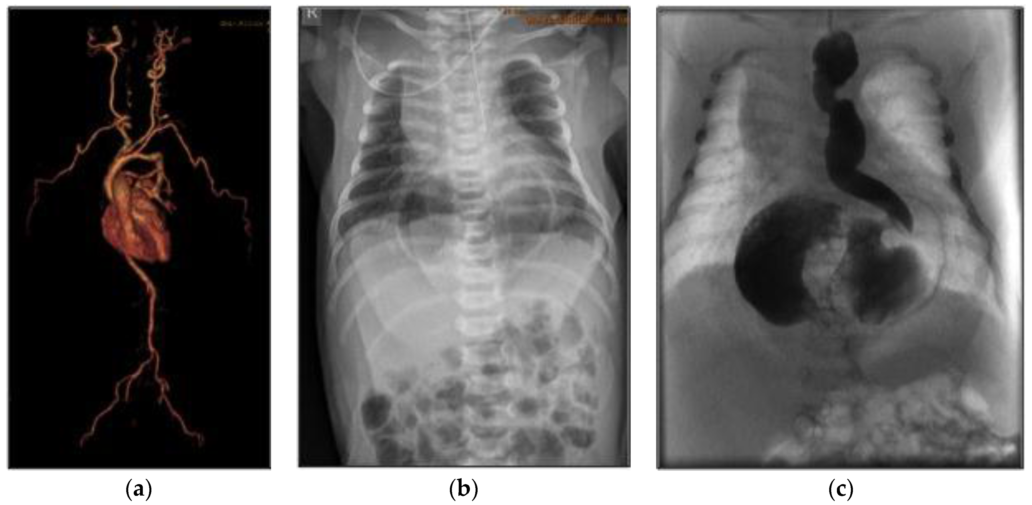 Jfmk 01 00249 g002 1024