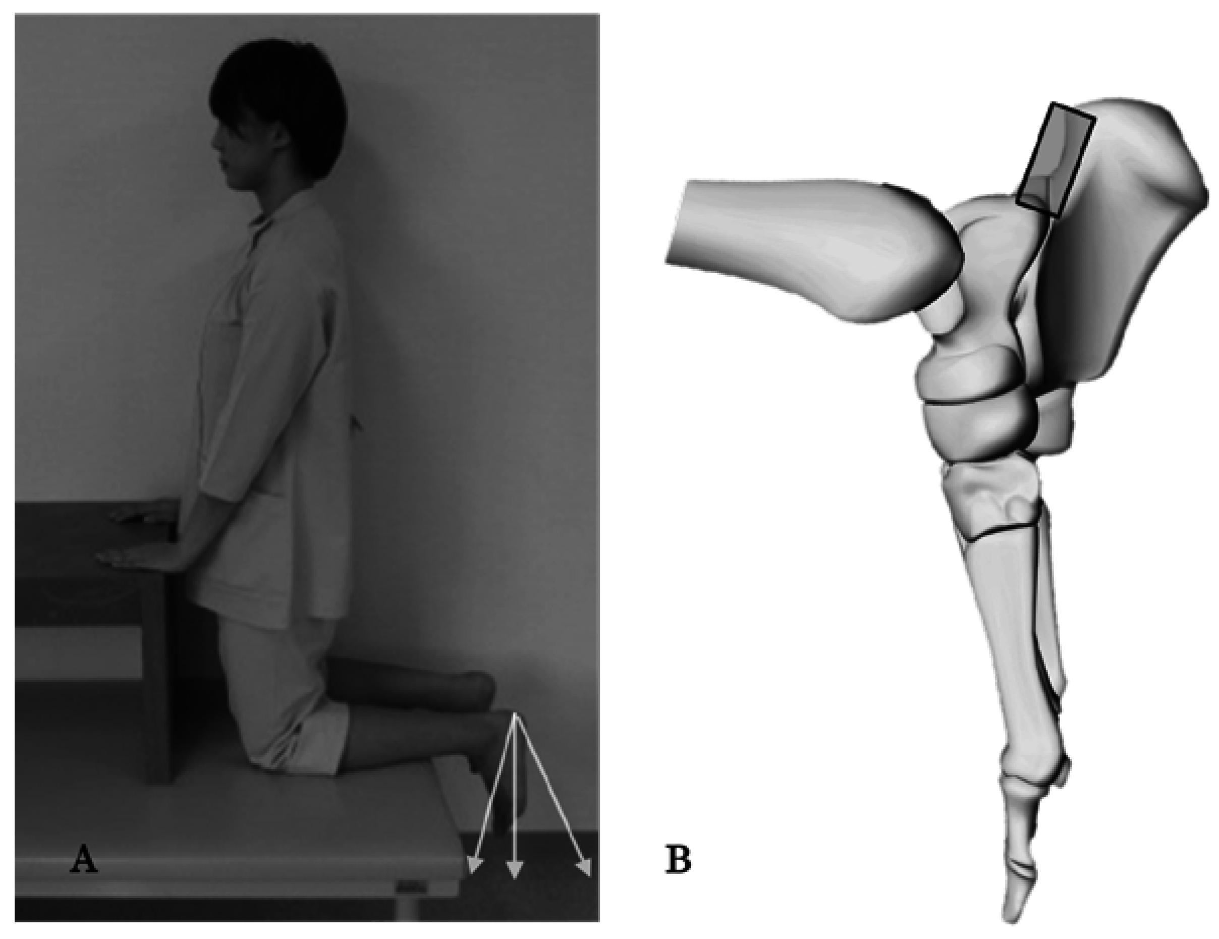 Jfmk 01 00378 g002 550