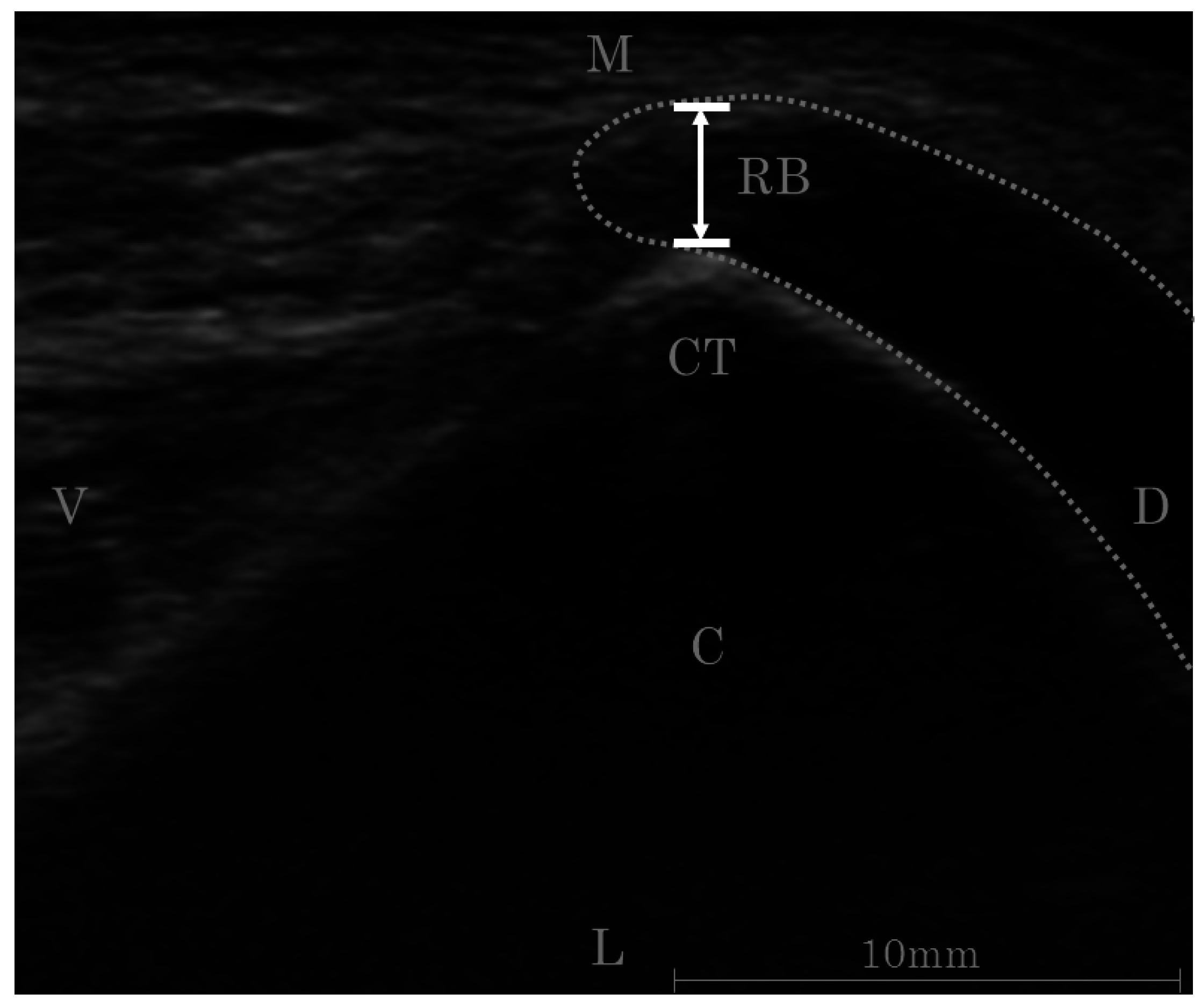 Jfmk 01 00378 g003 550