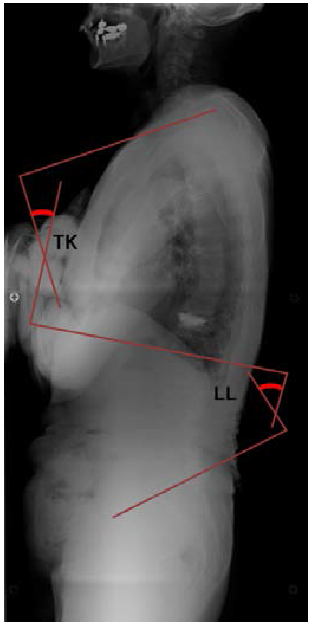 Jfmk 01 00382 g001 550