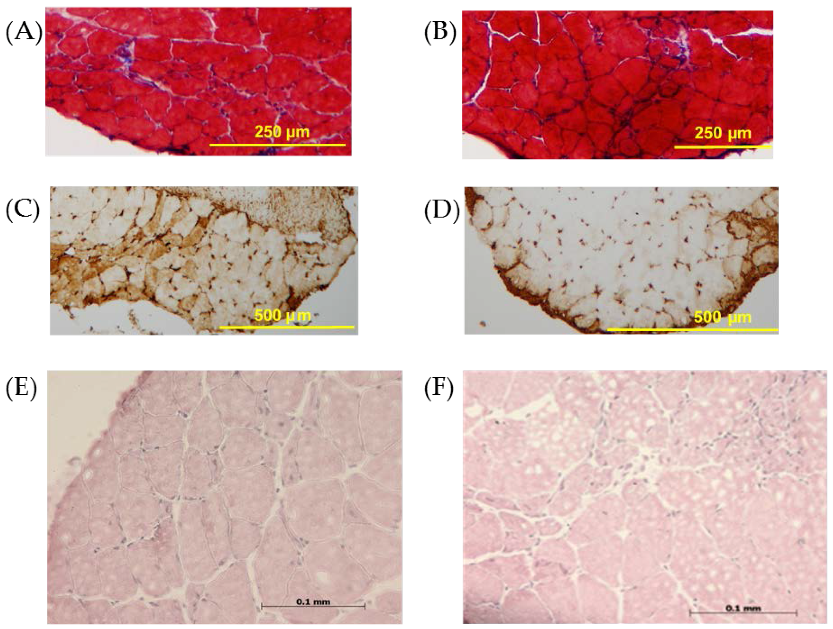 Jfmk 01 00396 g002 550