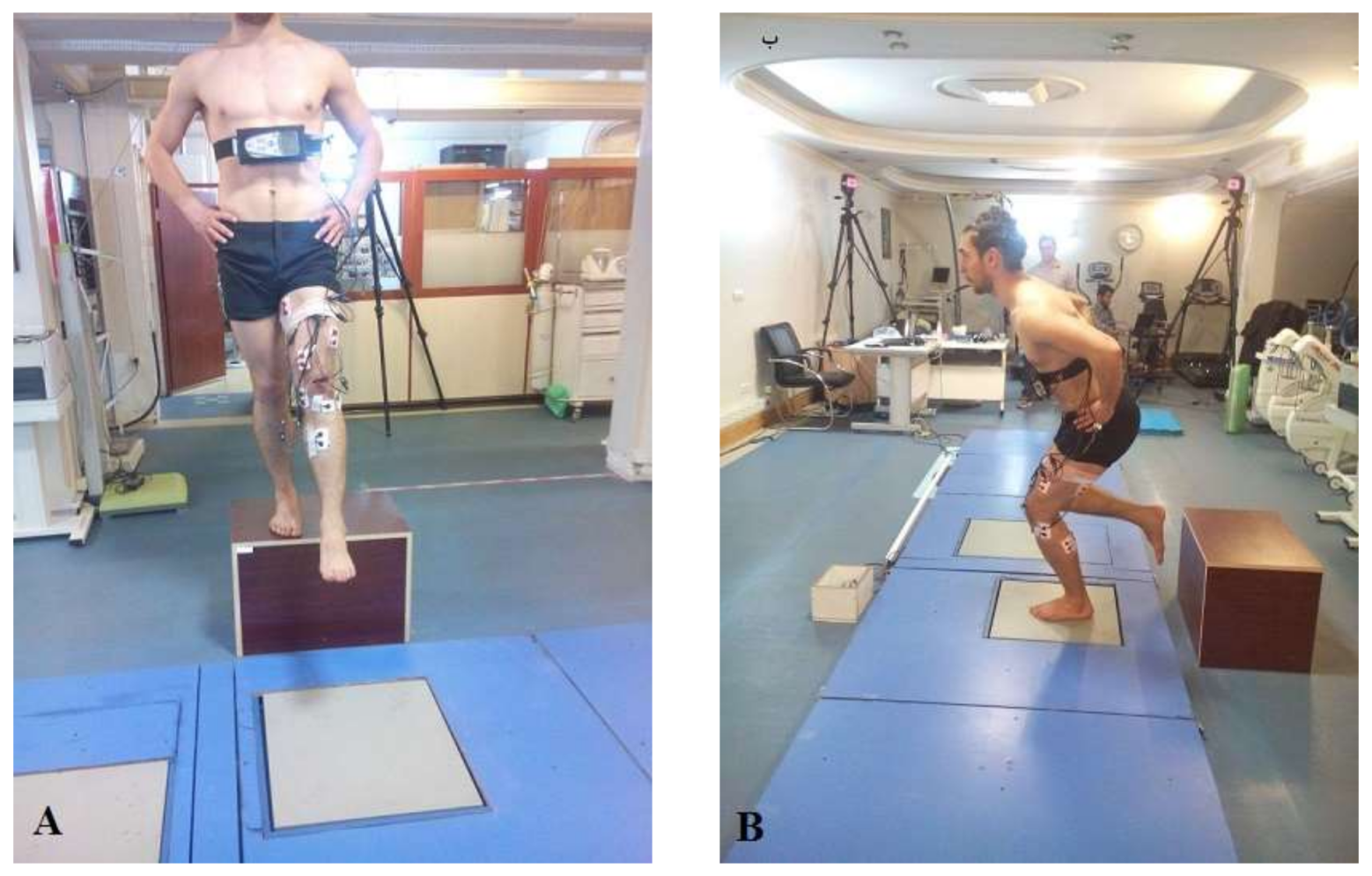 Jfmk 03 00022 g001 550