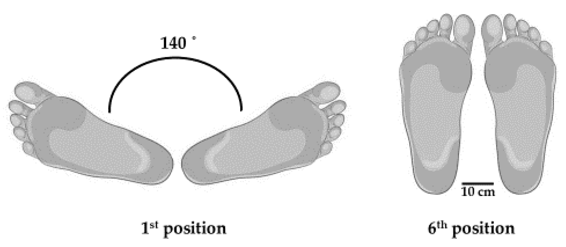 Jfmk 05 00054 g001 Jfmk 05 00054 g001